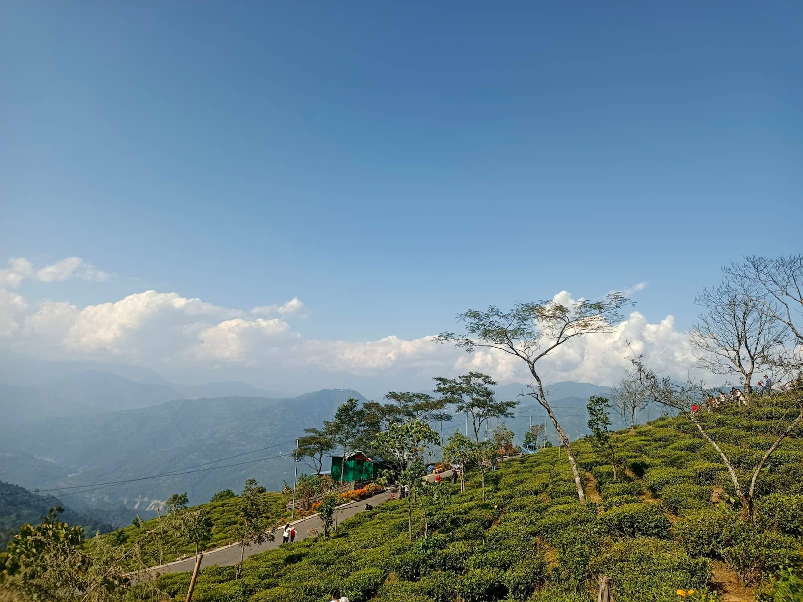 Teesta River Vista
