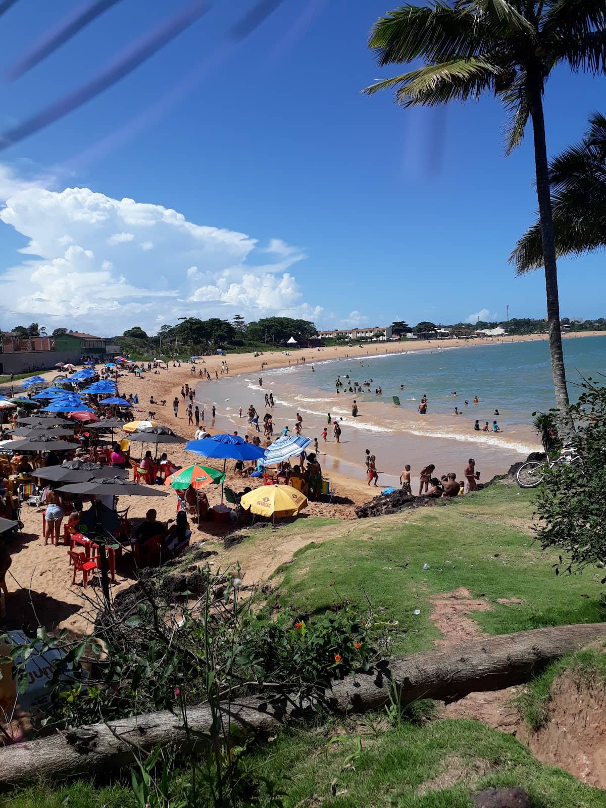 Family-Friendly Atmosphere