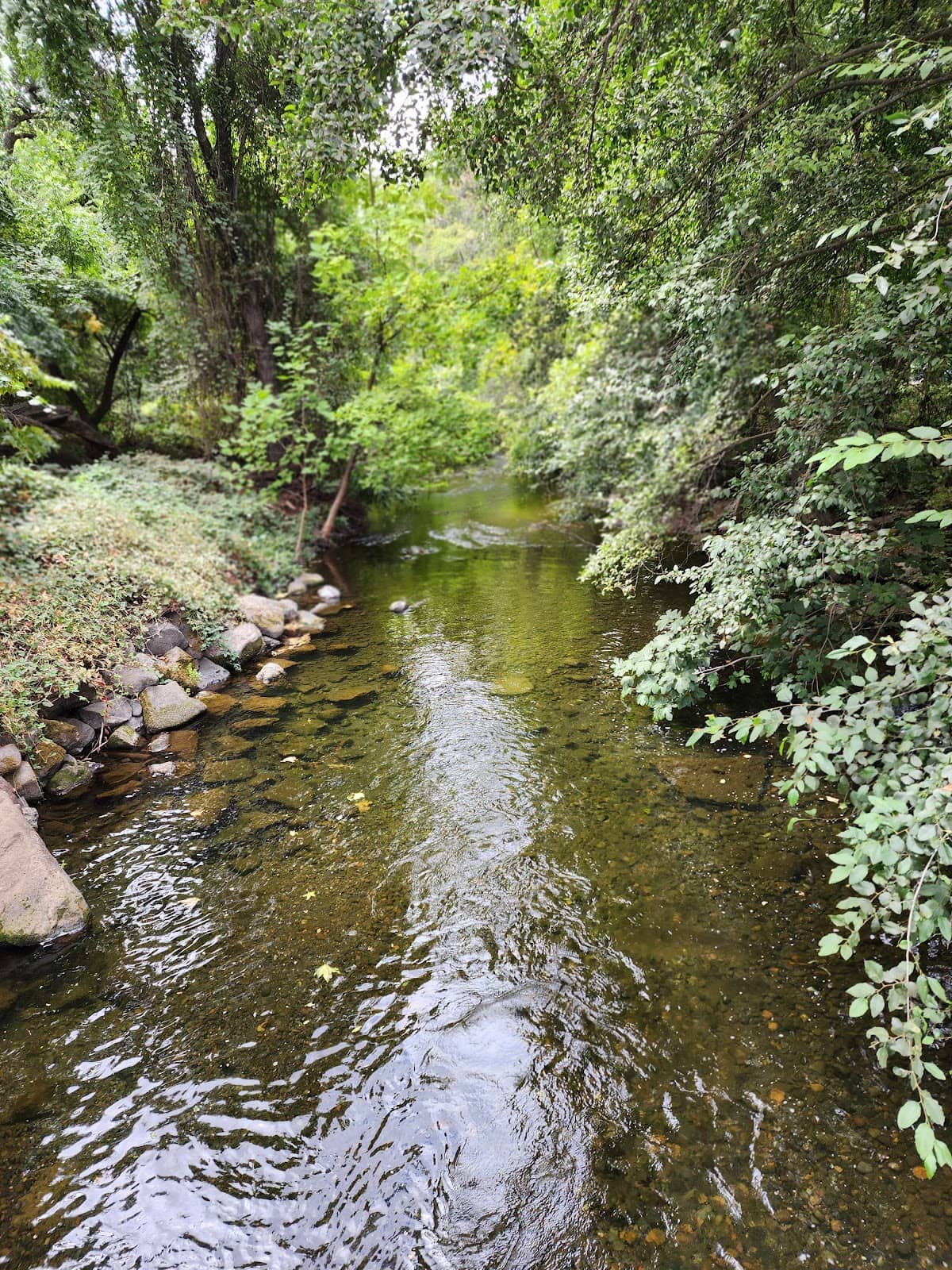 Grassy Knoll Relaxation