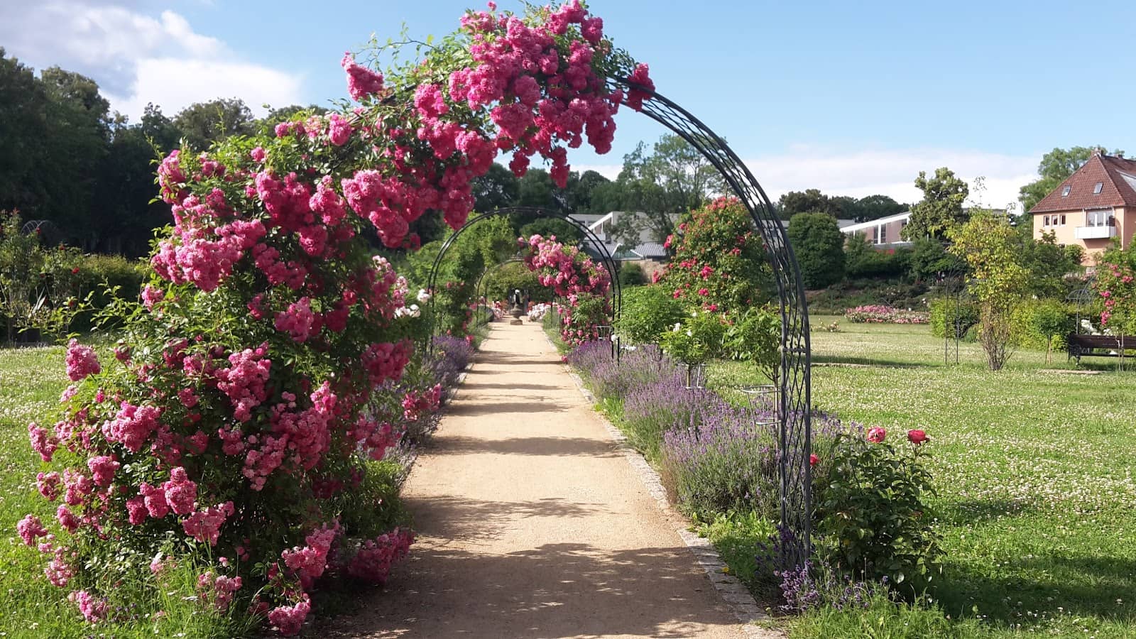 Peaceful City Stroll