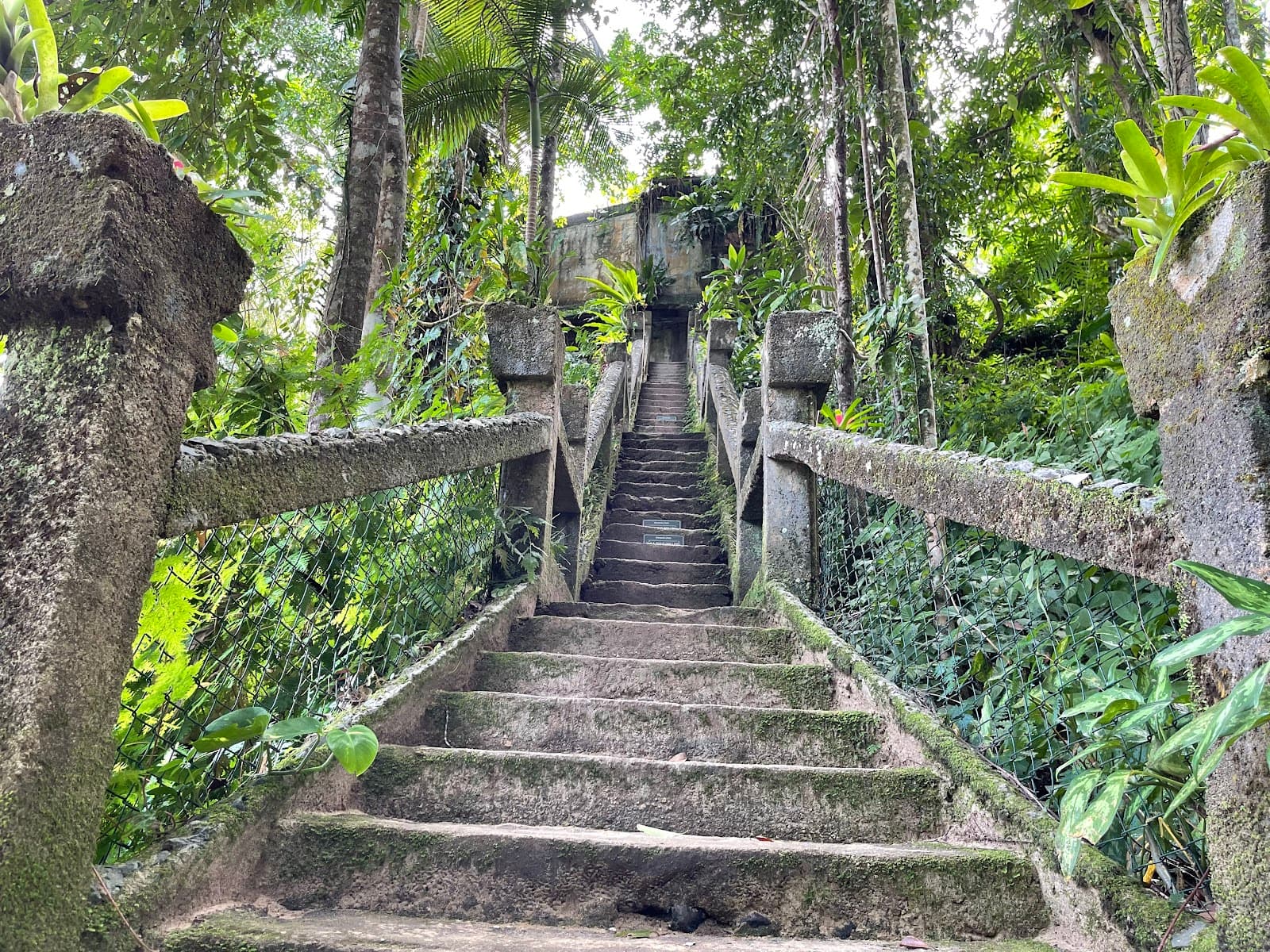 Paronella Park - Image 1