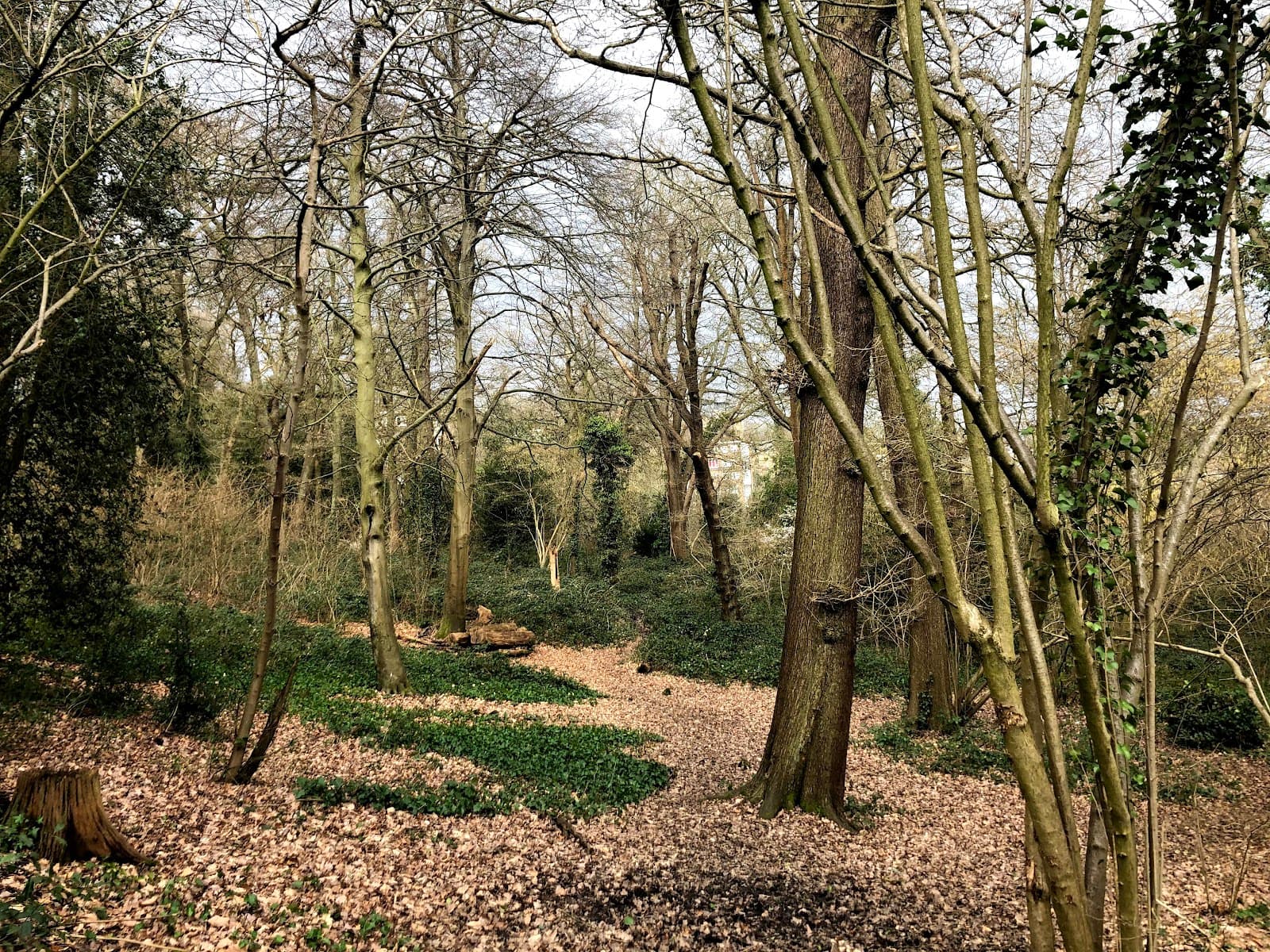 Beaulieu Heights - Image 1