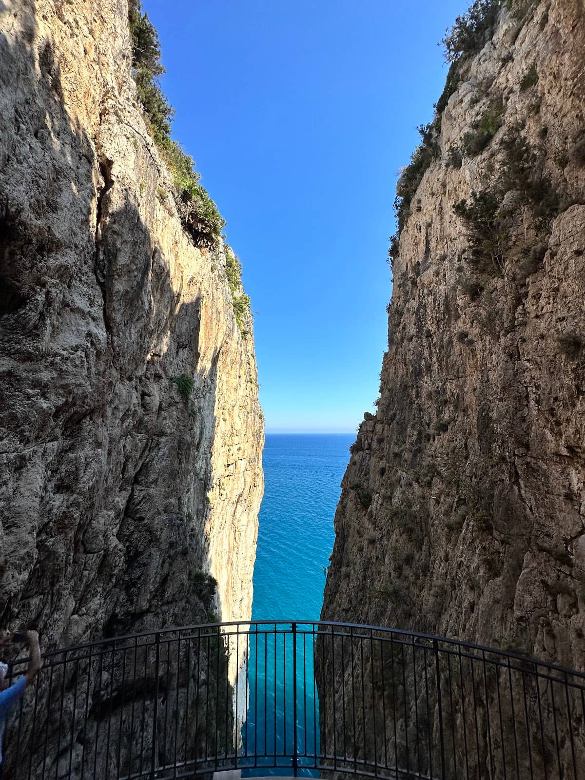 Vertical photo