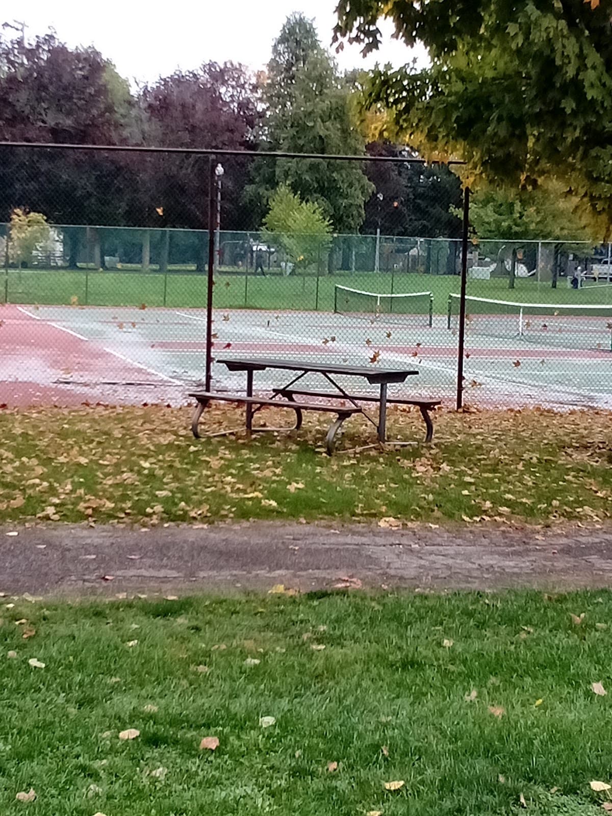 Alexandra Park - Image 1