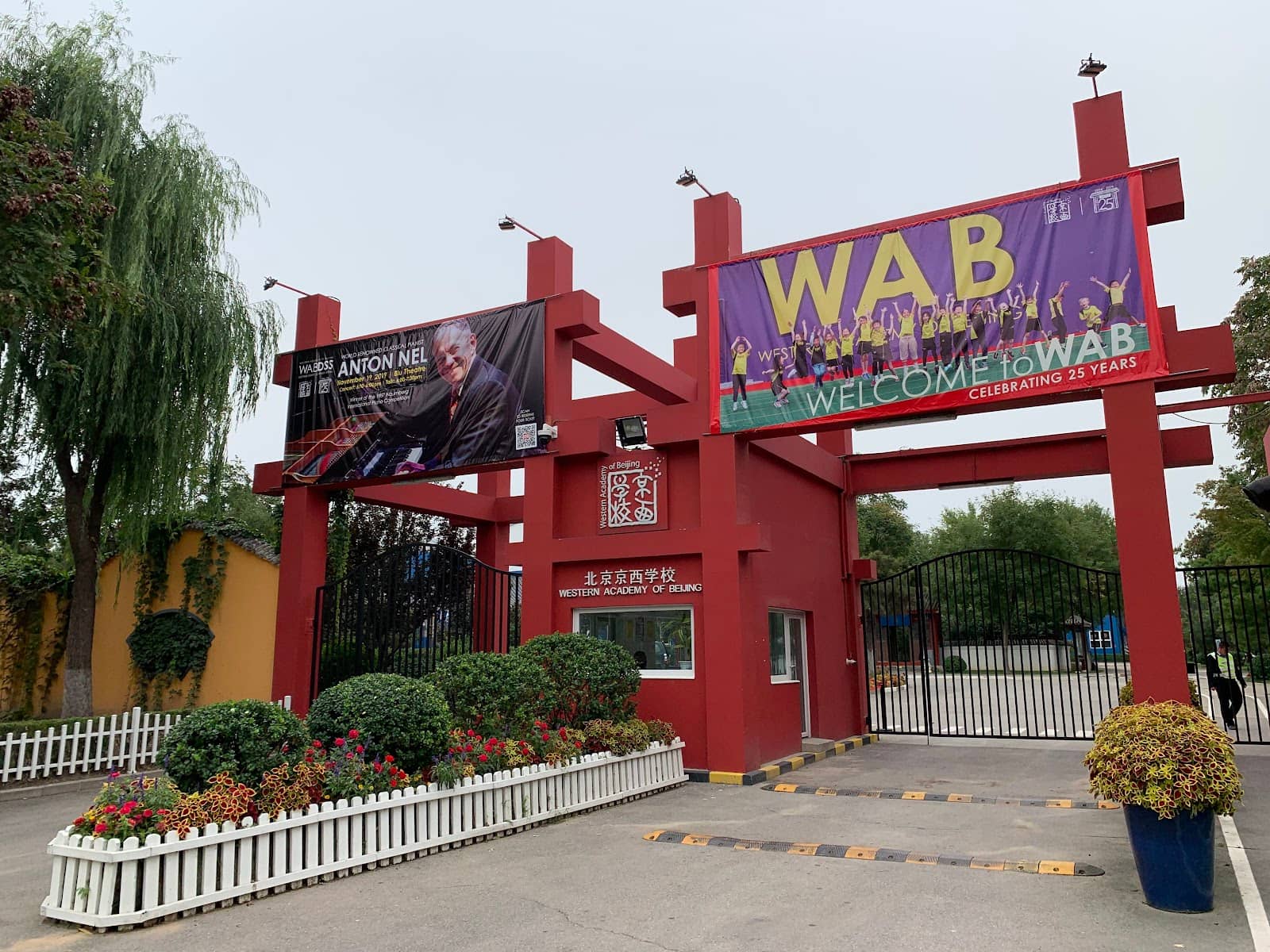 Freestyle & Tricking