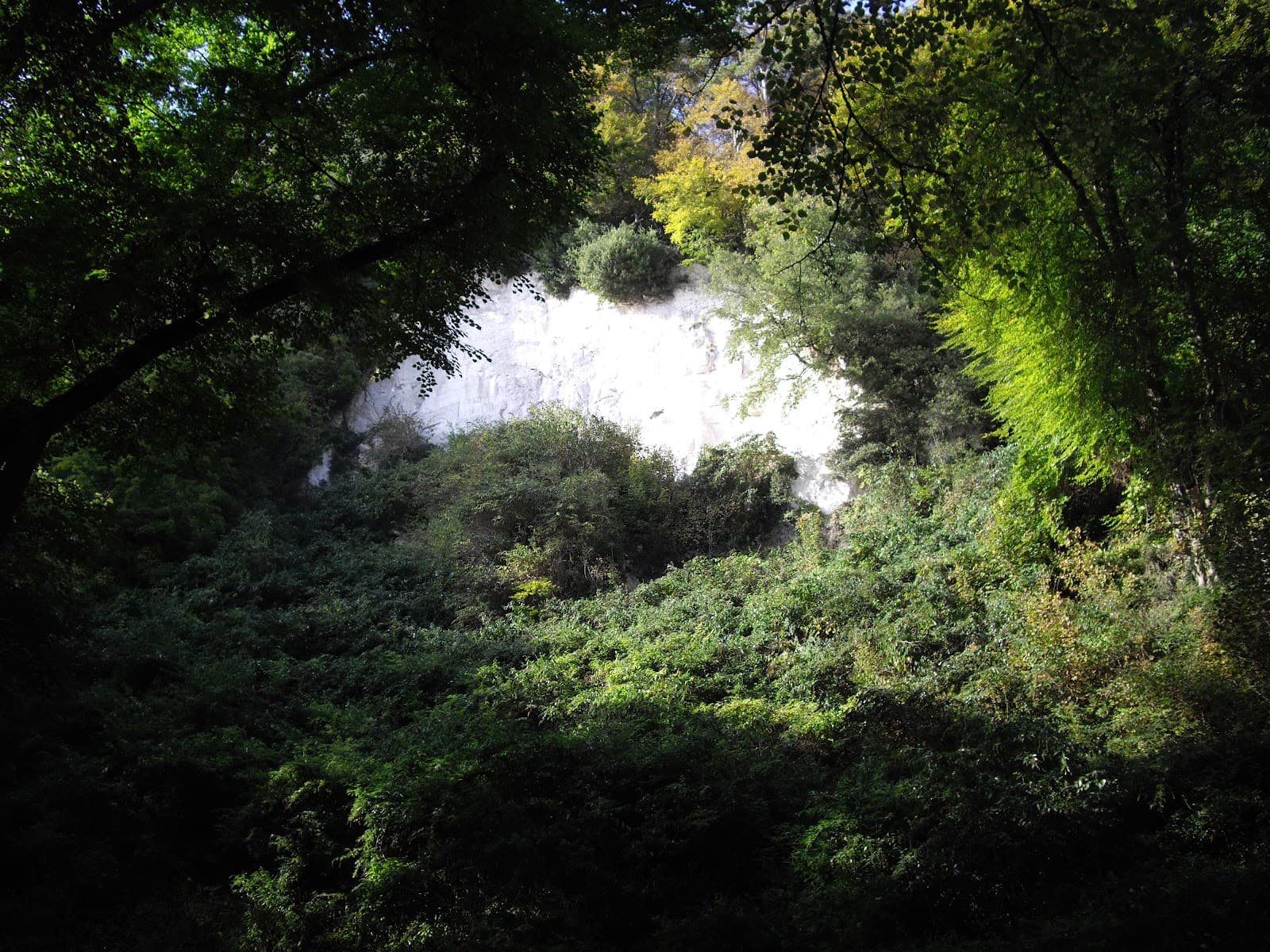 Pinhay Bay - Image 1