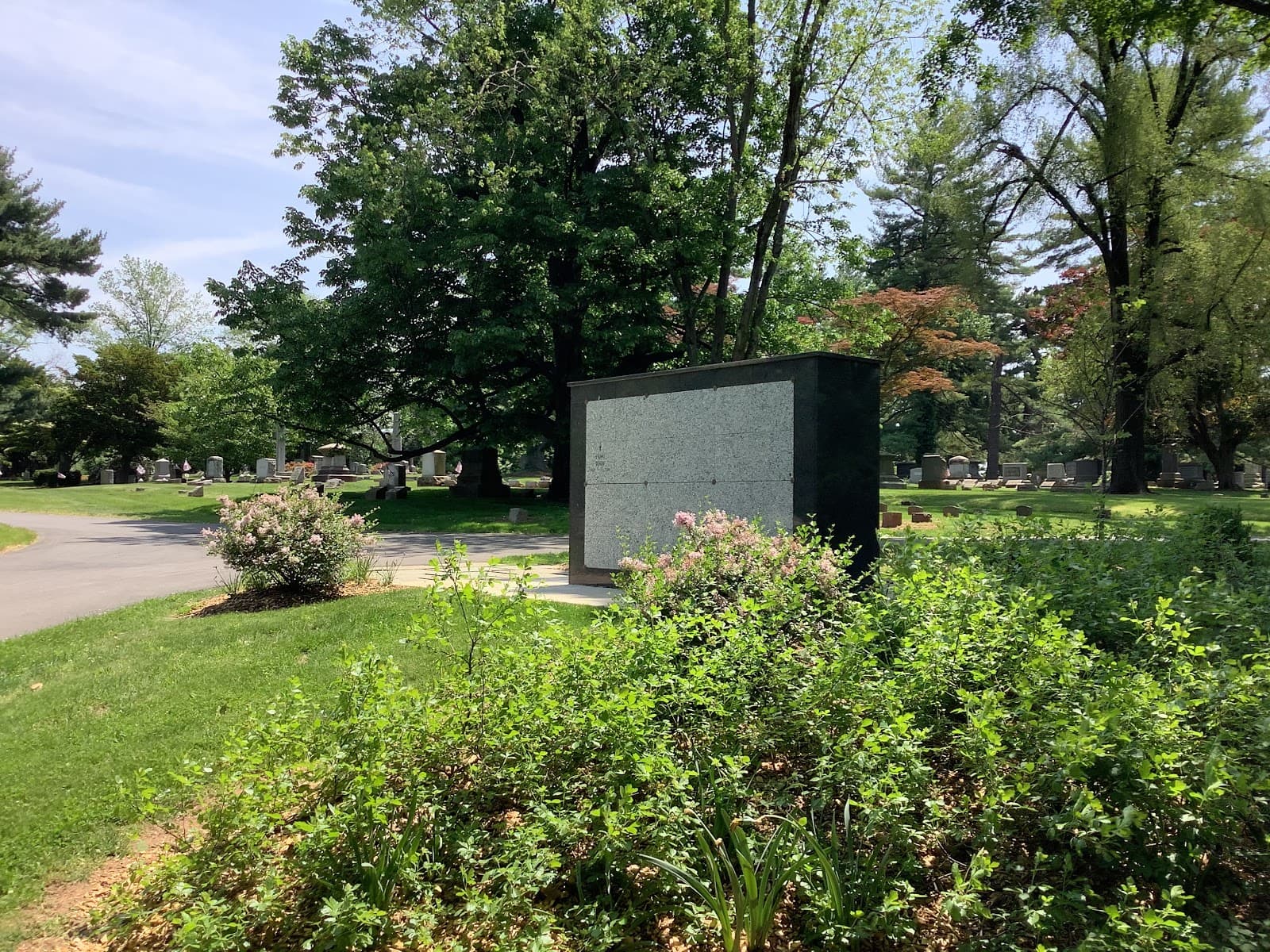 Elmwood Cemetery - Image 1