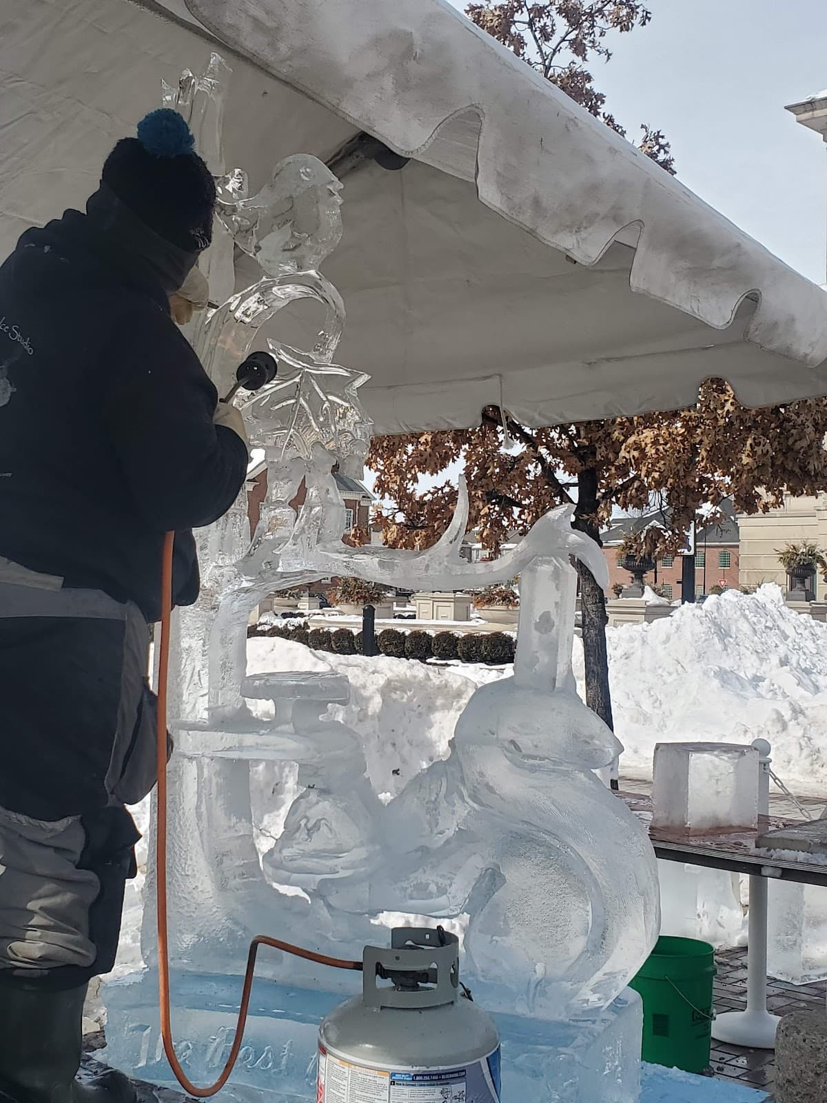 Carter Green - Image 1