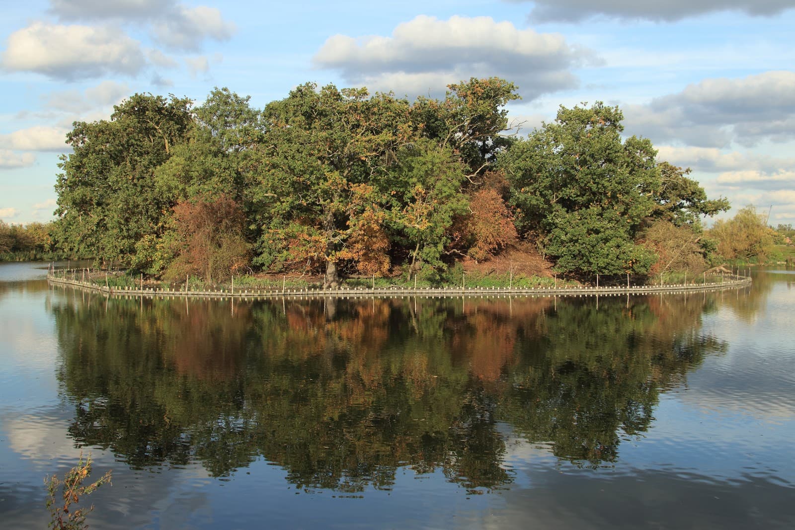 Walthamstow Wetlands - Image 1