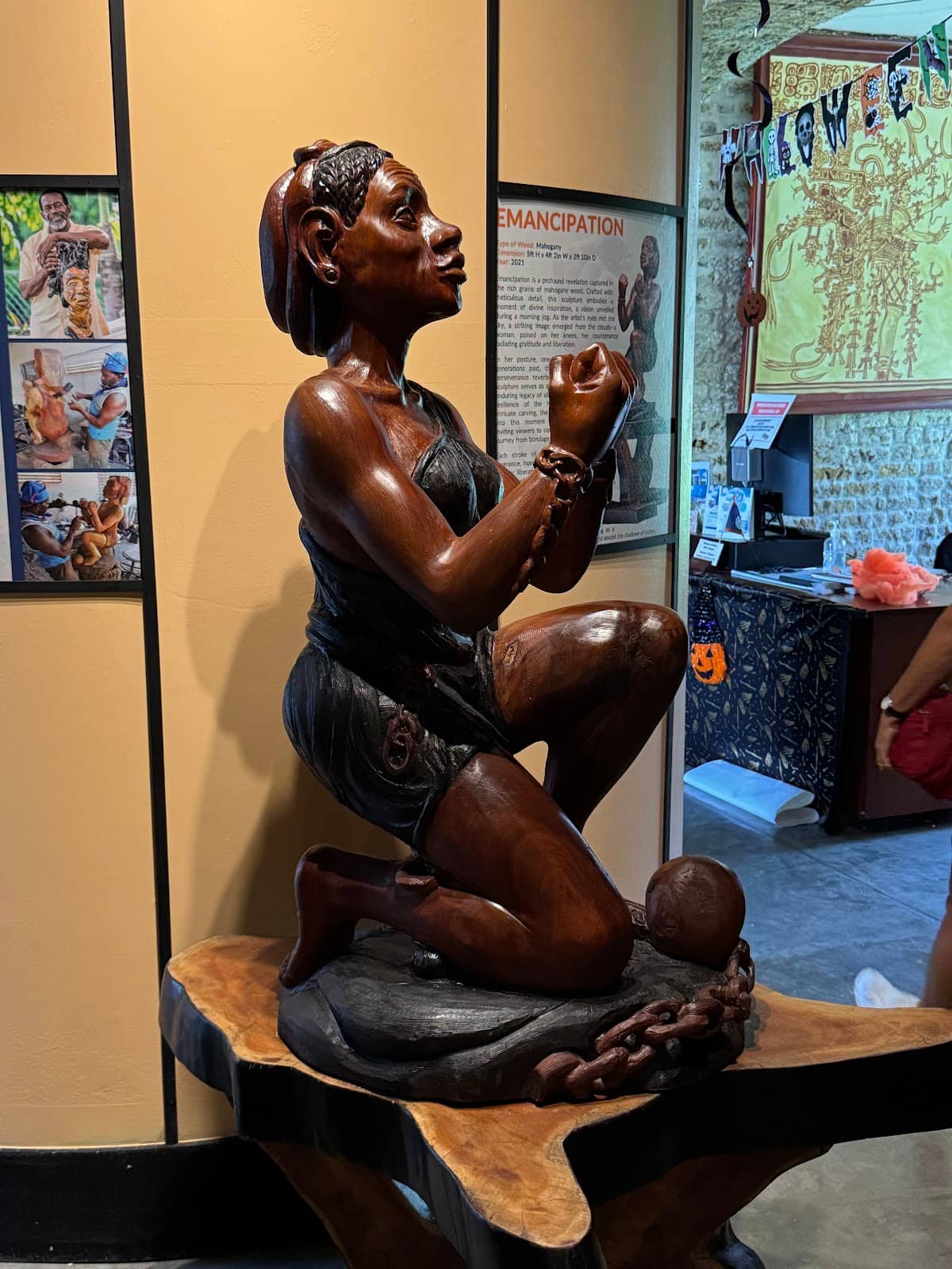 Local Art and Insect Collection