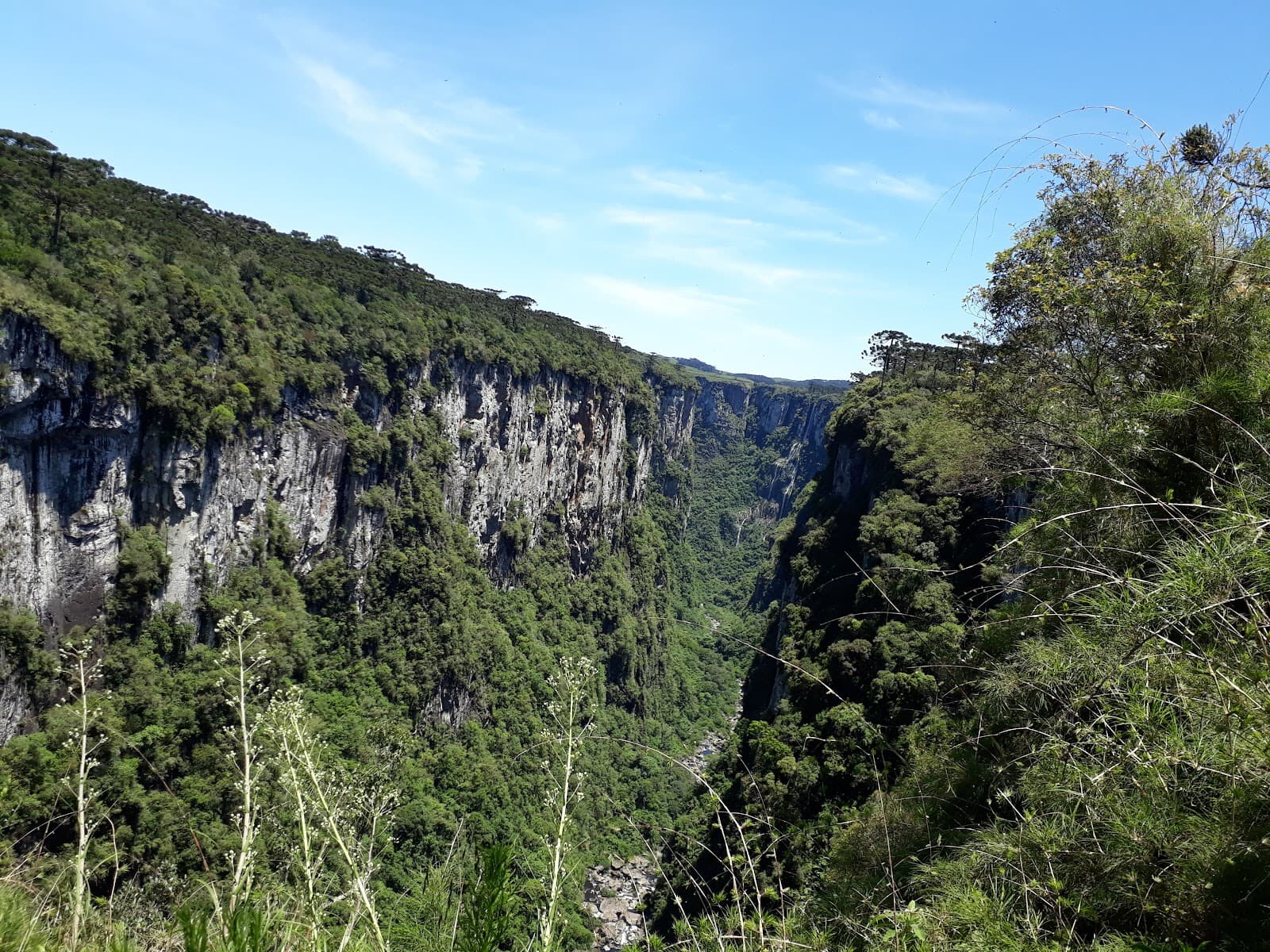 Trilha do Cotovelo Itaimbezinho - Image 1