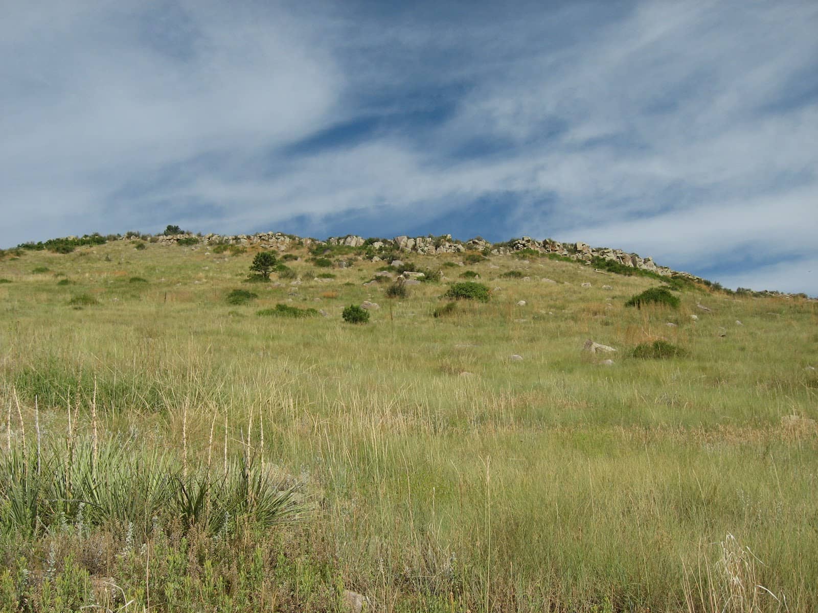 Poudre River Canyon Access