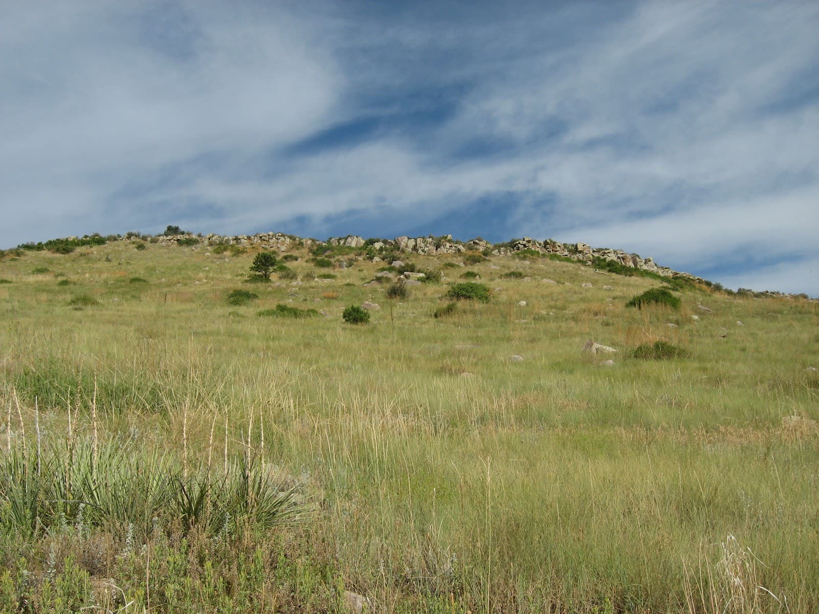 Maxwell Natural Area - Image 1