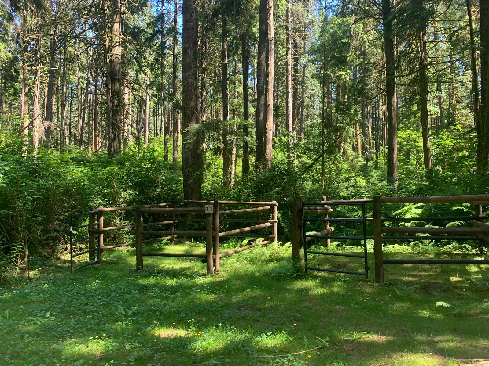 Allco Park - Image 1