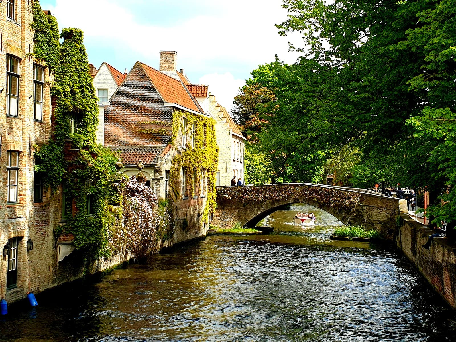 Groenerei & Spiegelrei Quays Bruges - Image 1