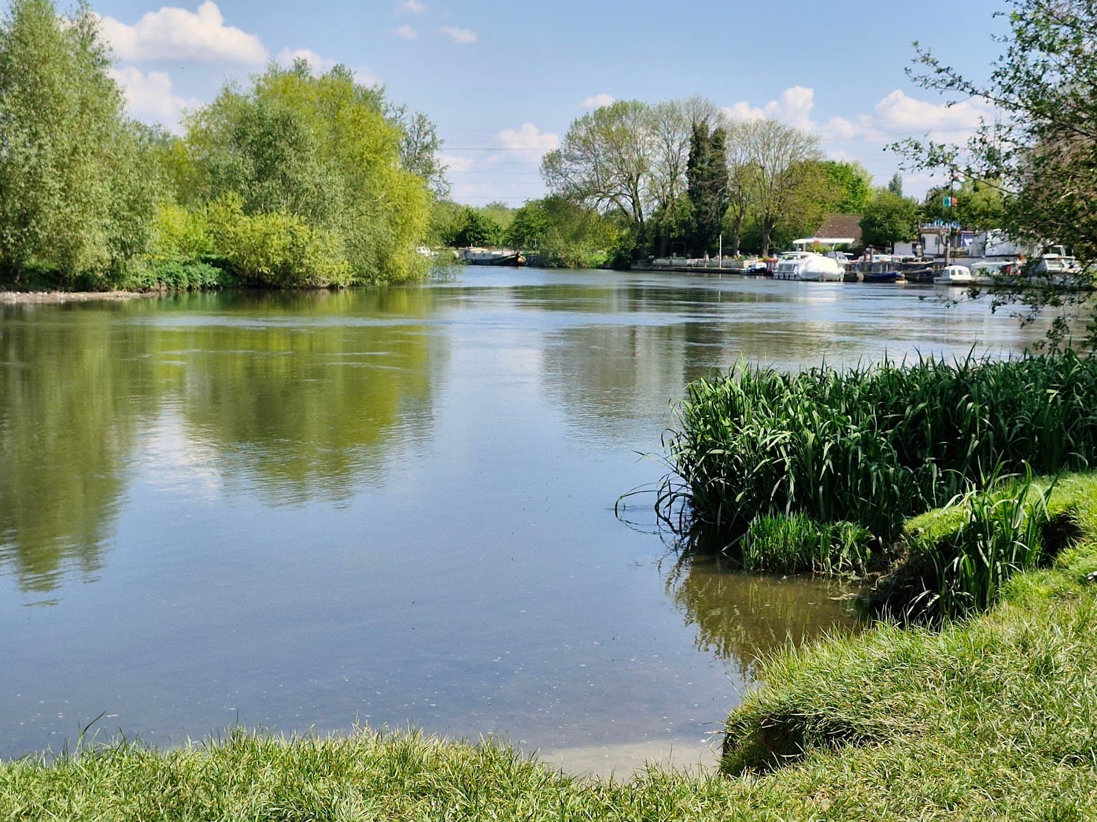 Chertsey Meads - Image 1
