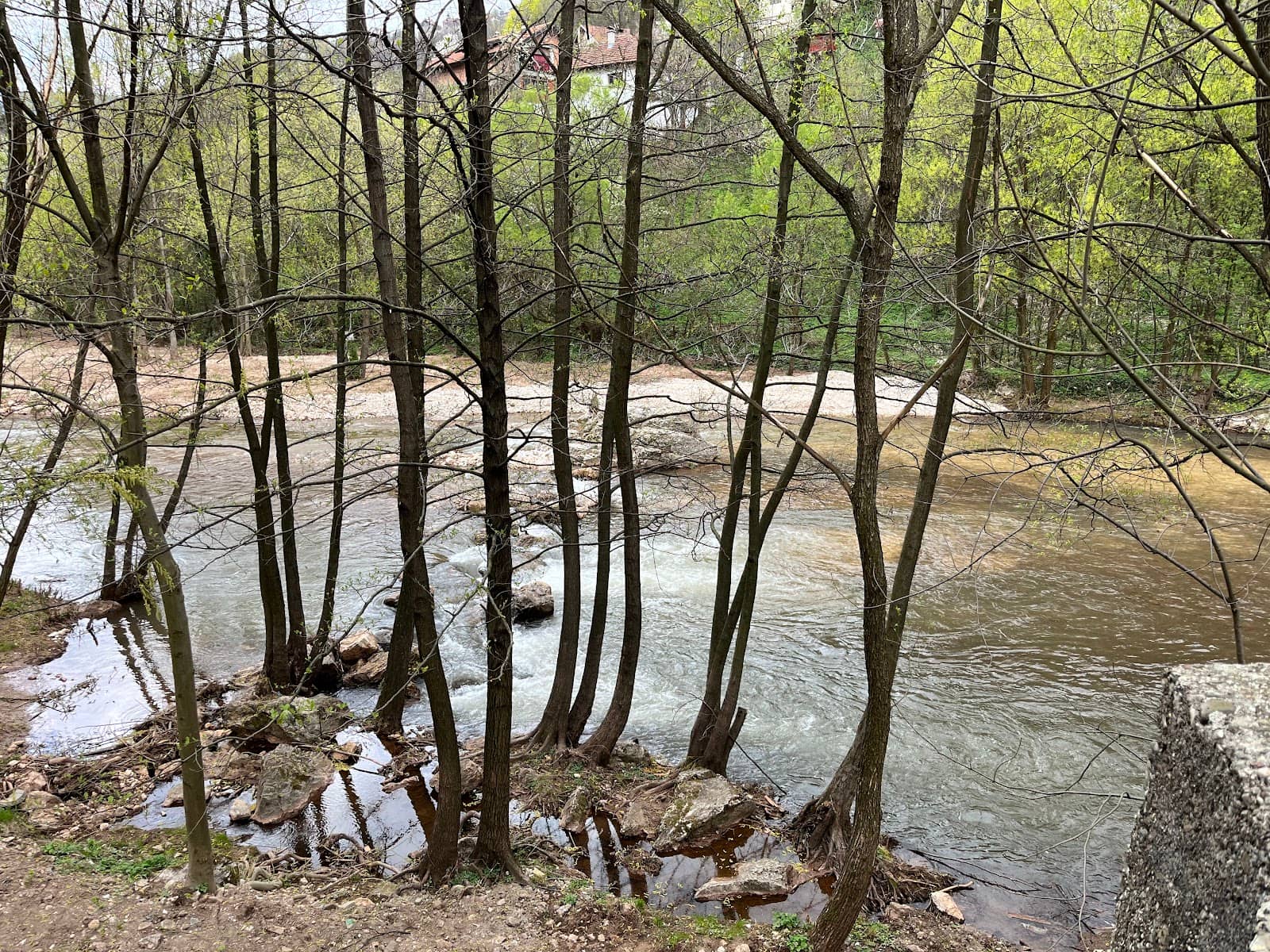 Goat's Bridge (Kozi Most)