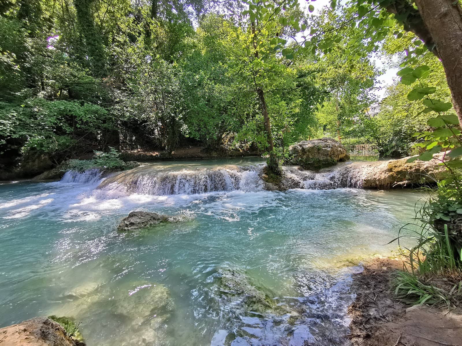Rocky Pool Swimming
