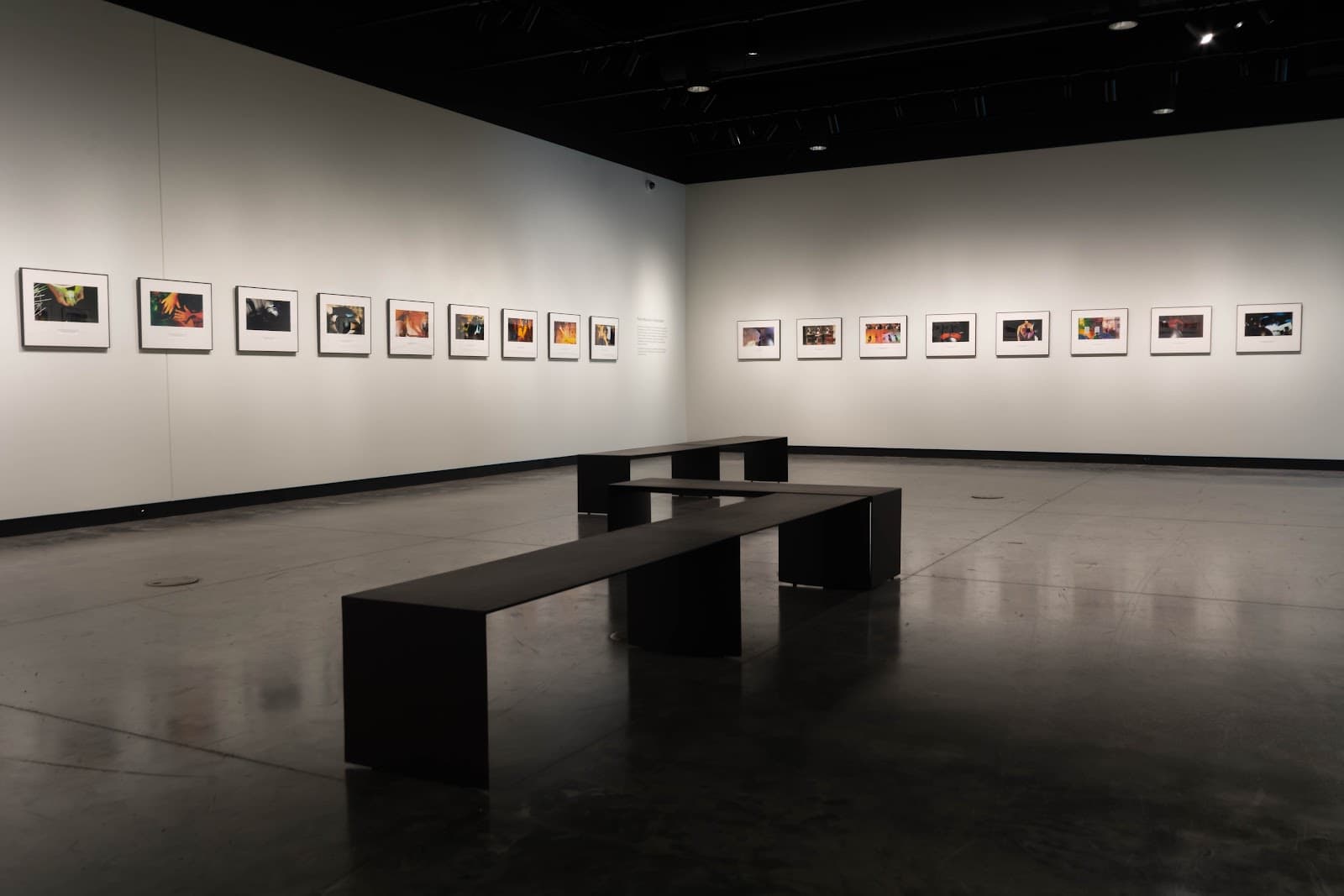 Gregory Allicar Museum of Art Colorado State University - Image 1