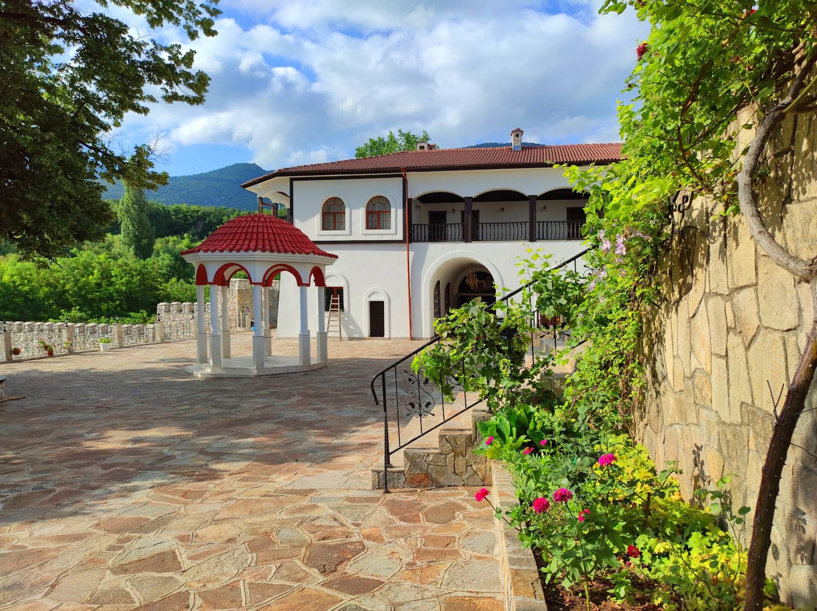 Rhodope Mountain Views