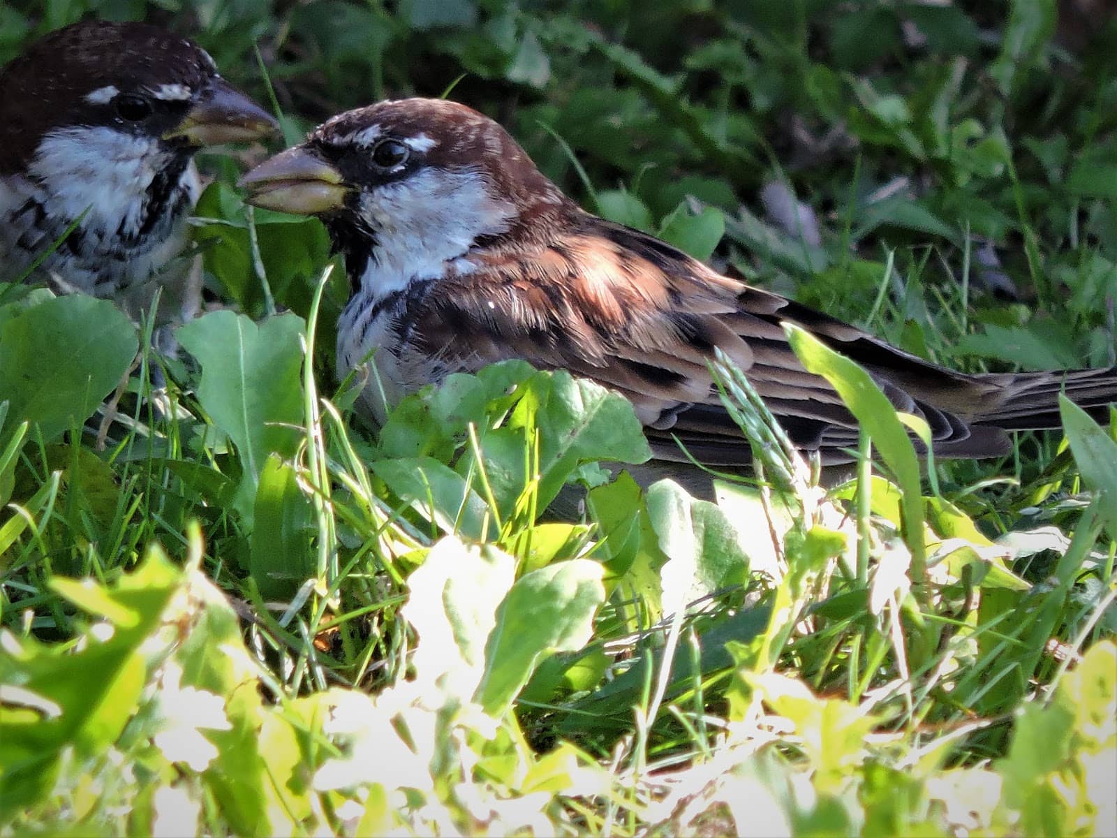 Sculptural Encounters