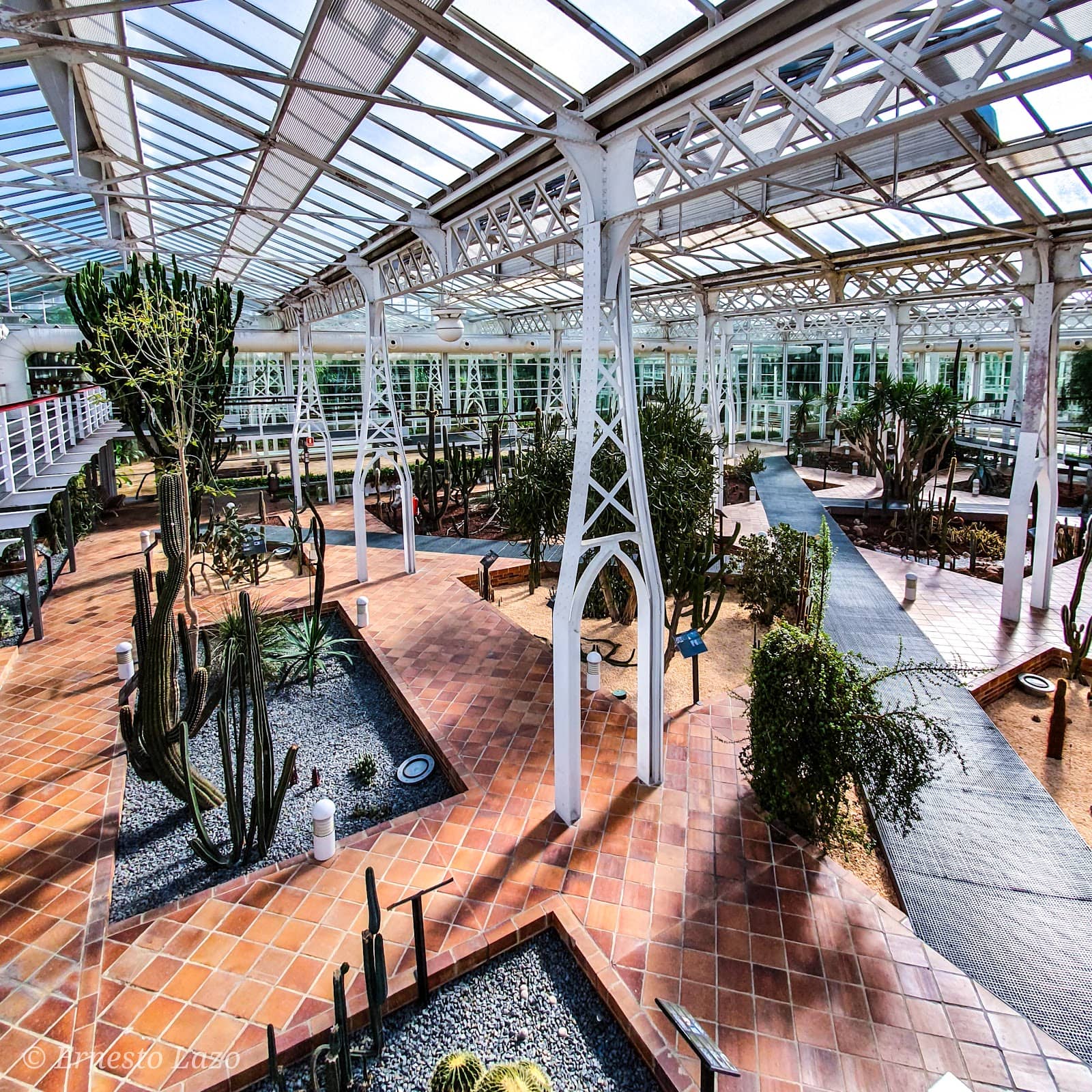 Desert & Aquatic Displays