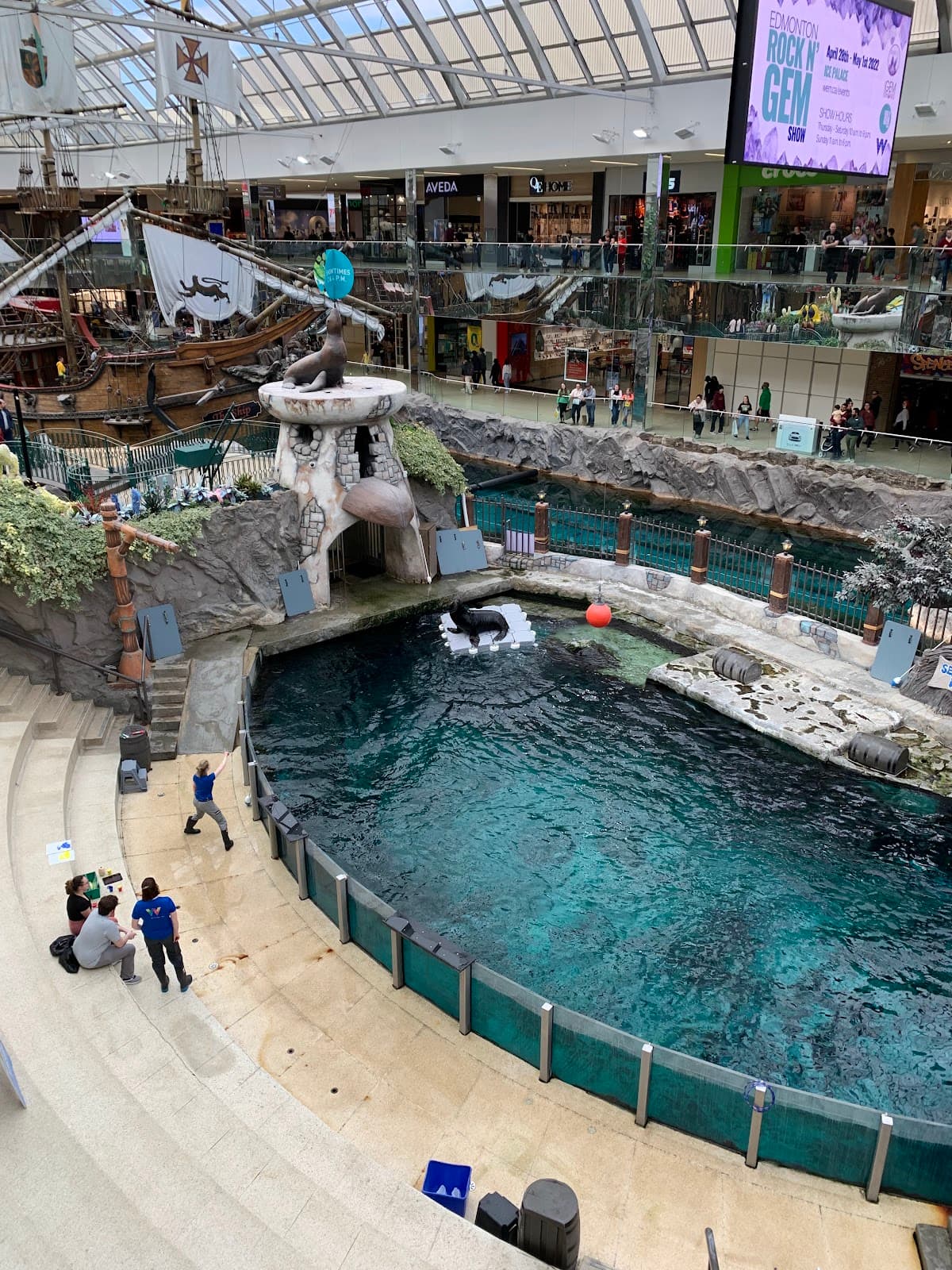 Marine Life West Edmonton Mall - Image 1