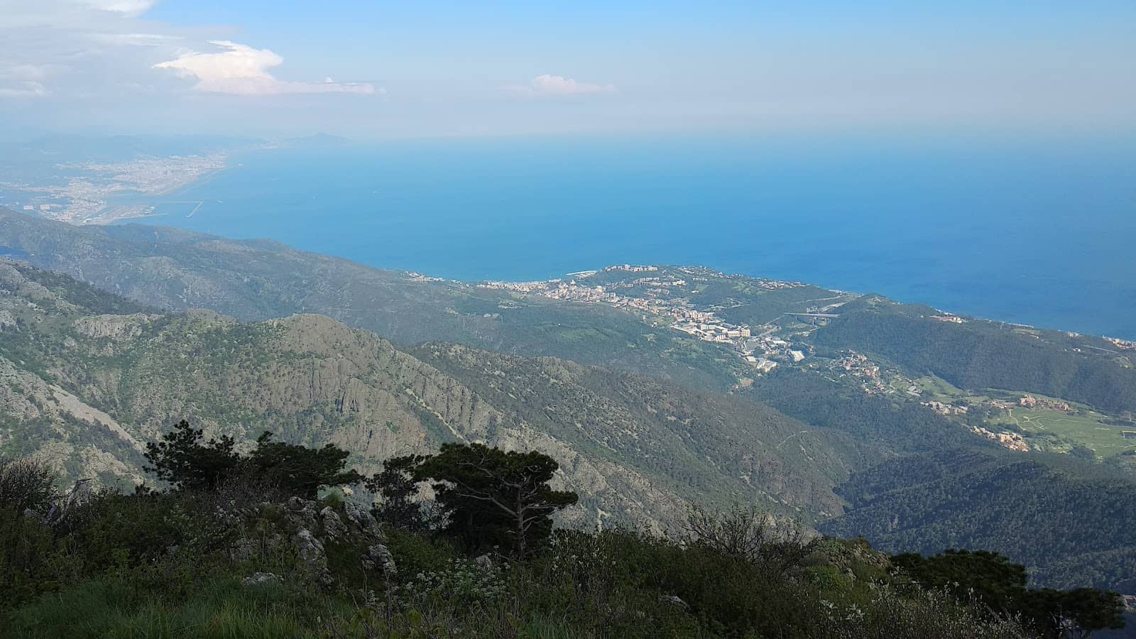 Panoramic Views
