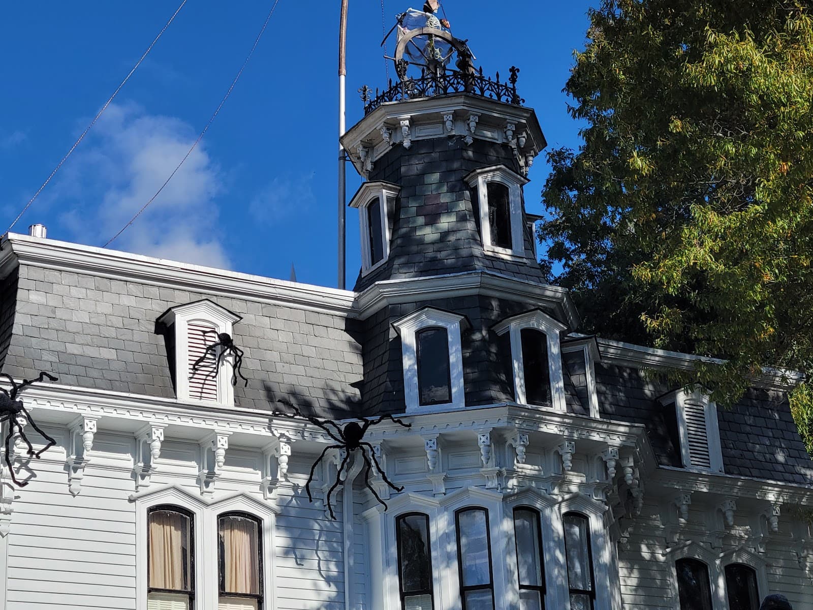 Union Street (Downtown) - Image 1