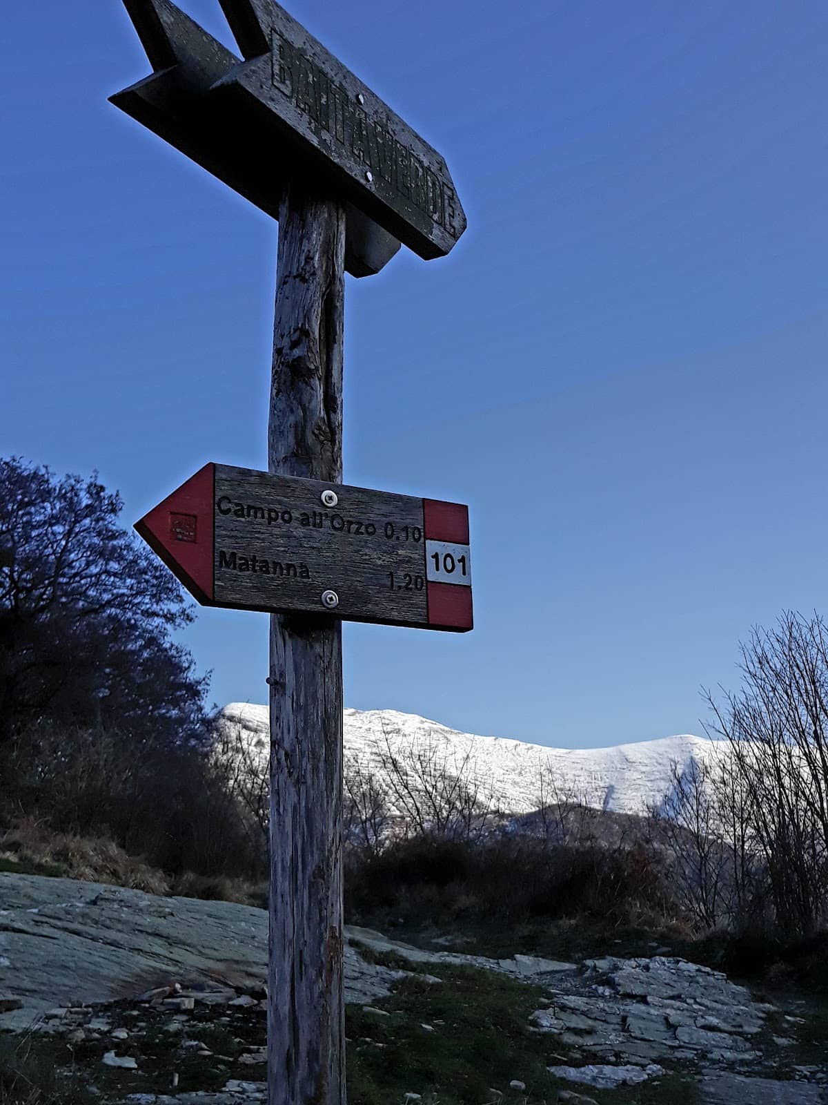 Tranquil Hiking Paths
