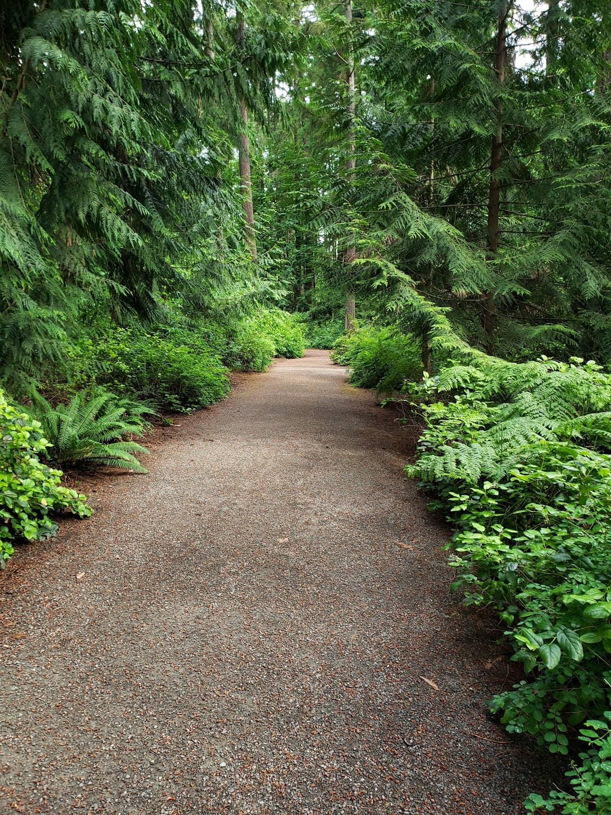 Wooded Walking Paths
