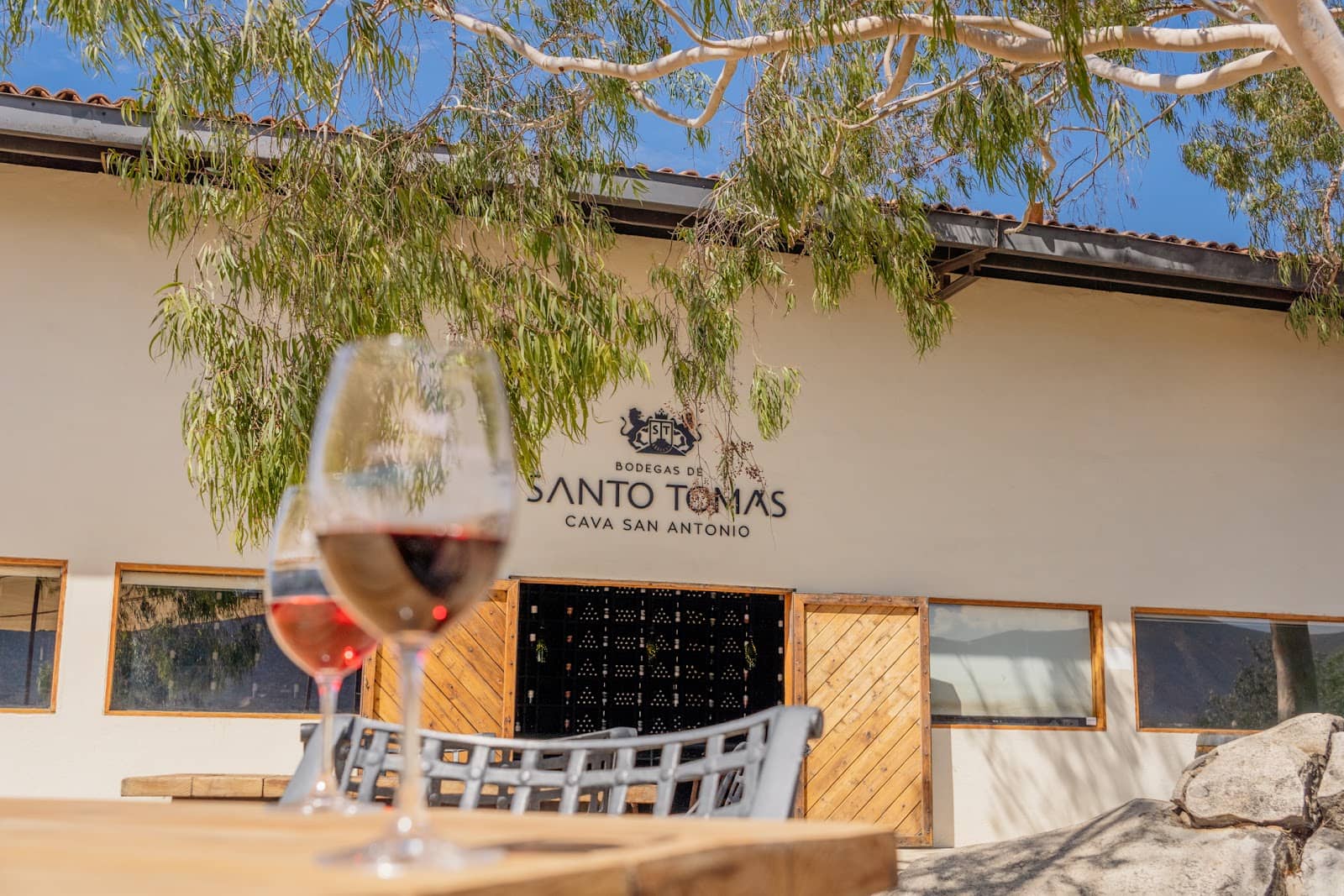 Scenic Vineyard Views