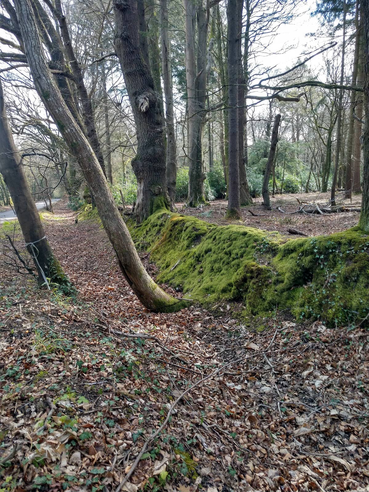 Extensive Trail Network