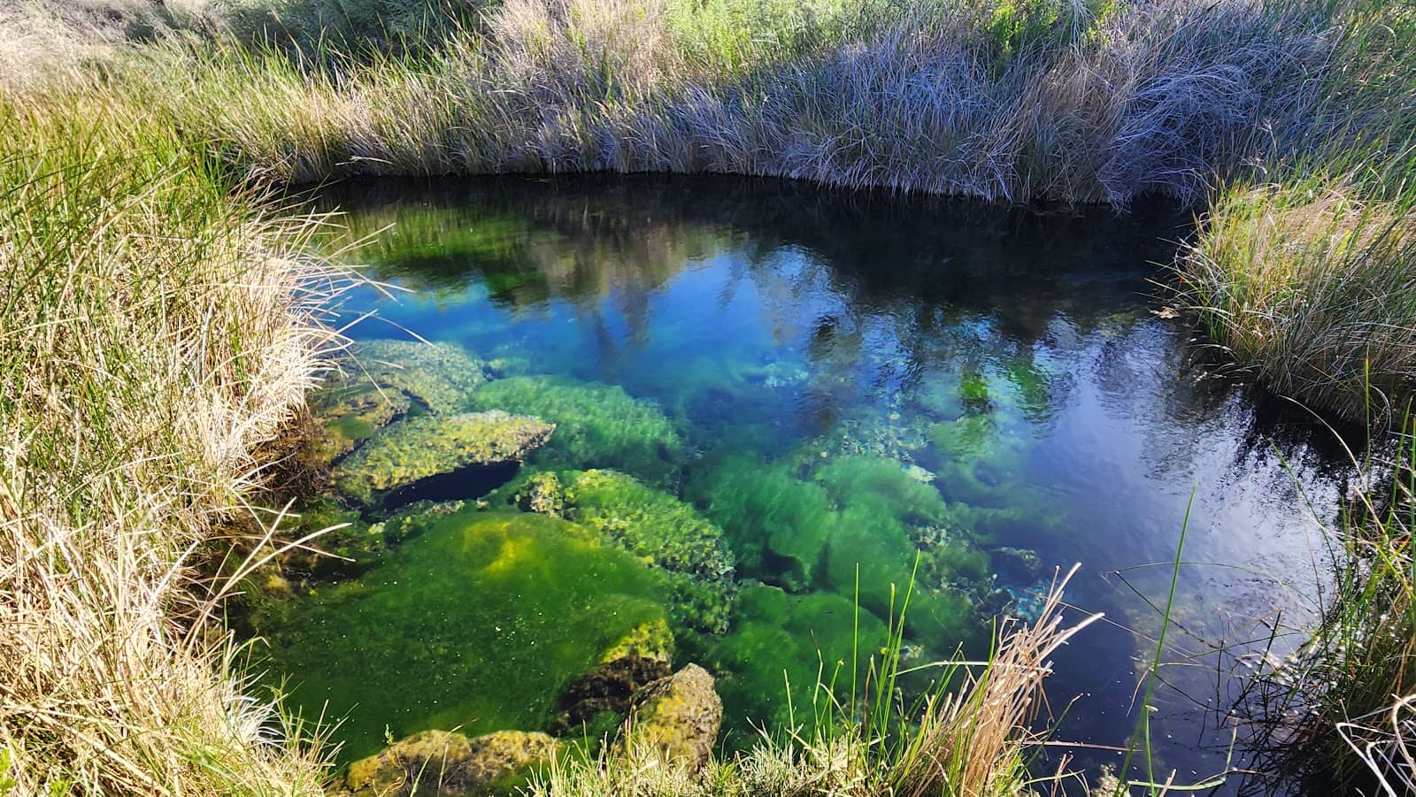 Amphitheater with Telescopes
