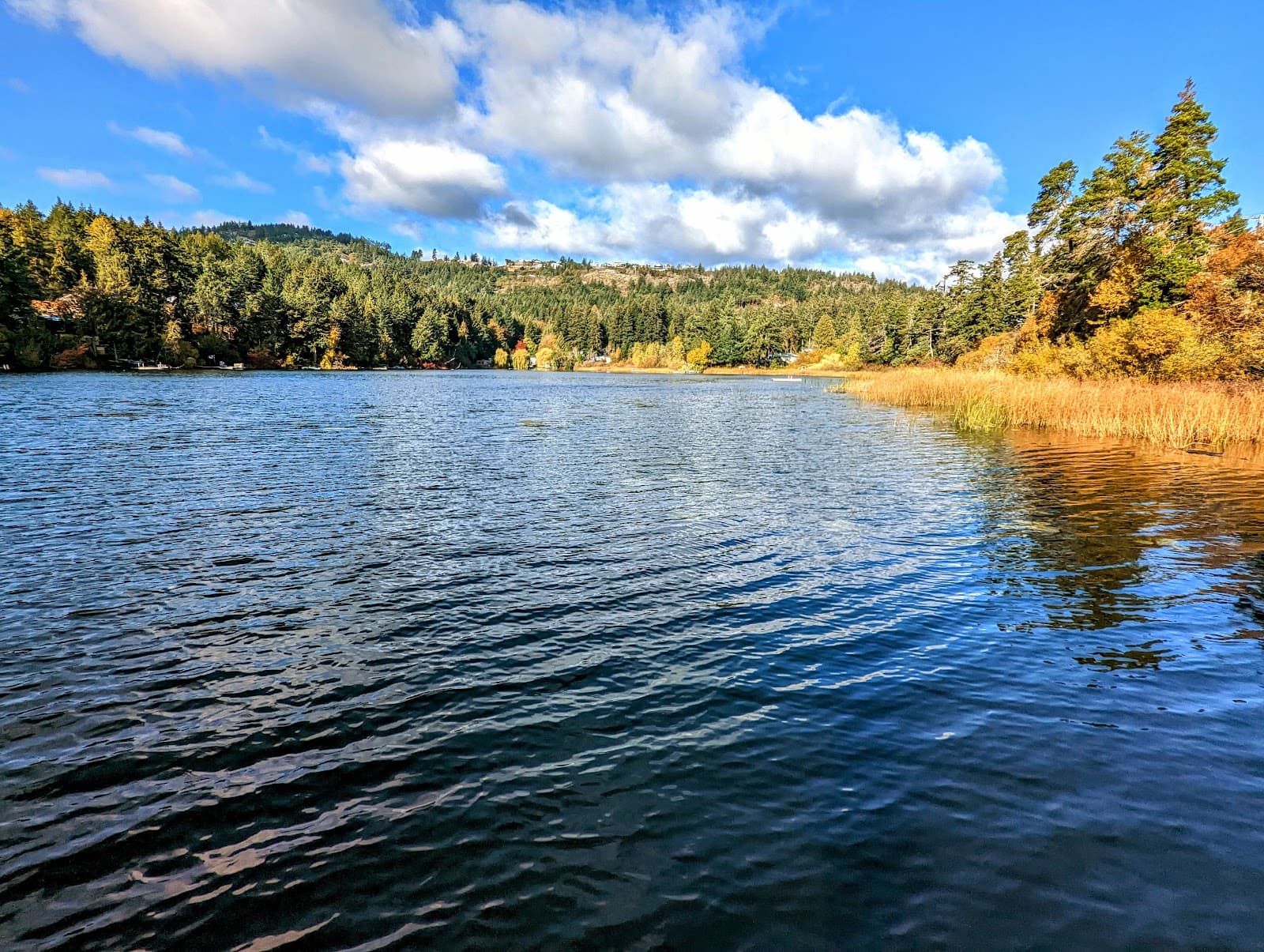 Florence Lake - Image 1