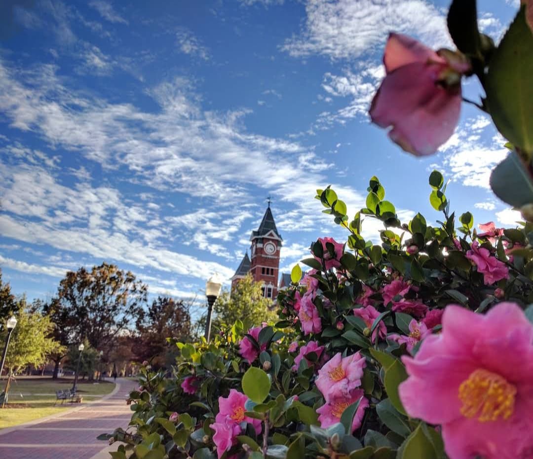 Downtown Auburn - Image 1