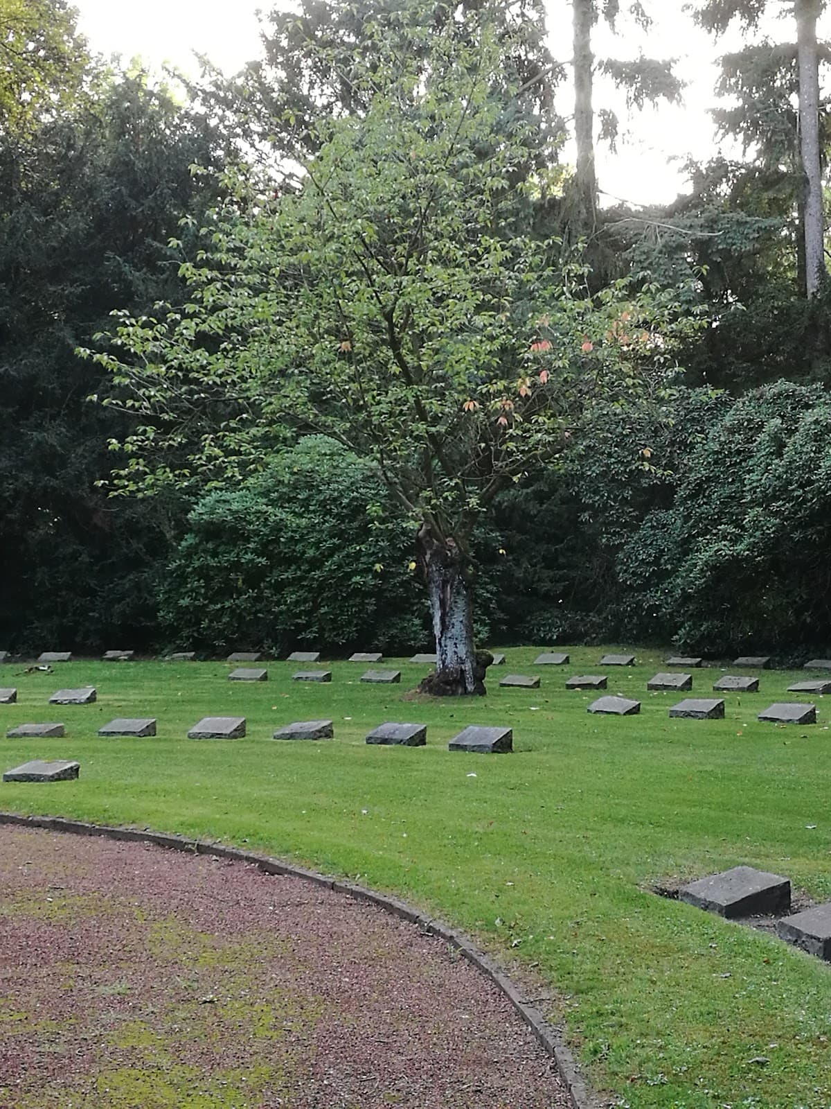 Schmölderpark - Image 1