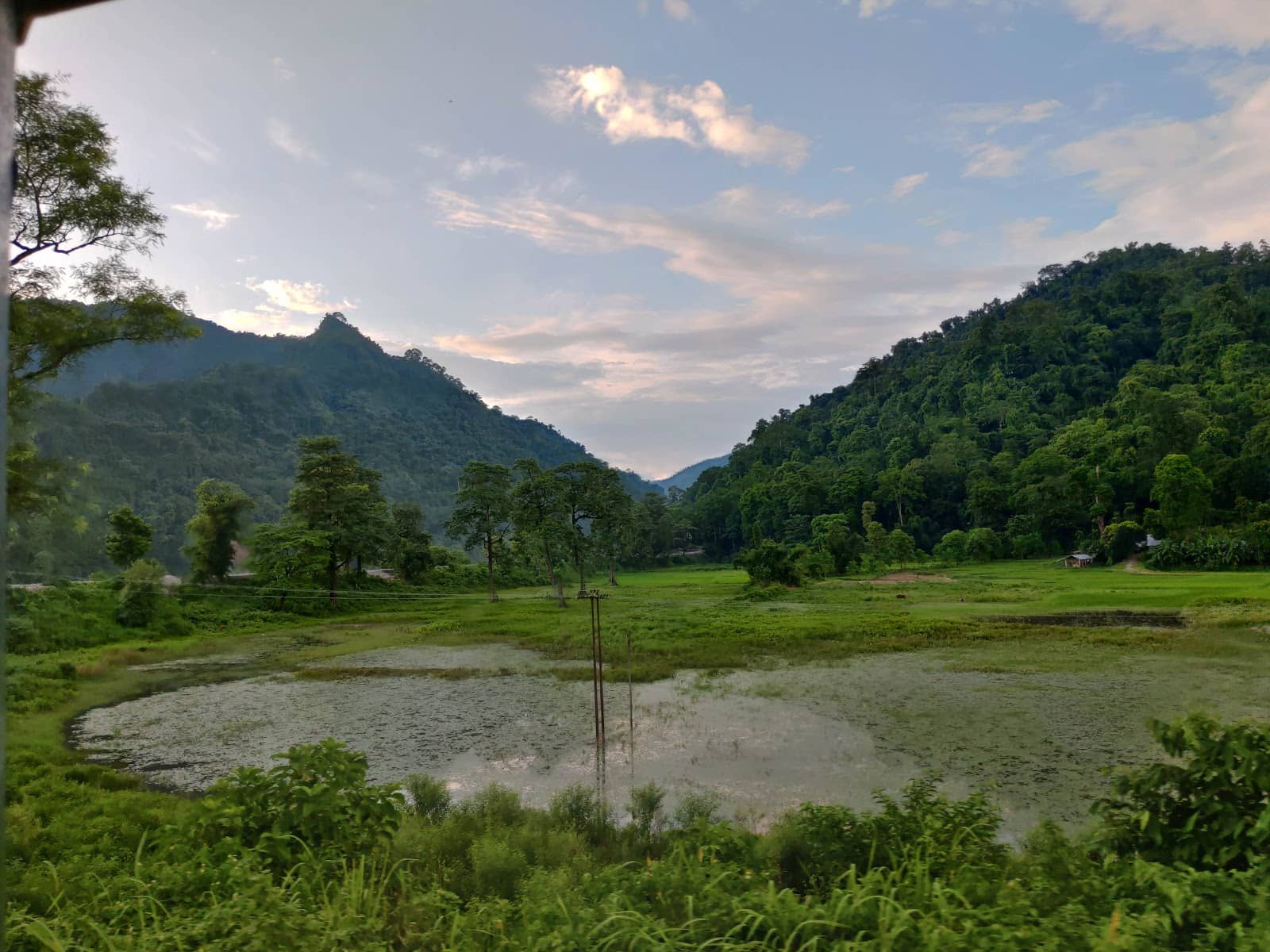 Scenic Railway Track