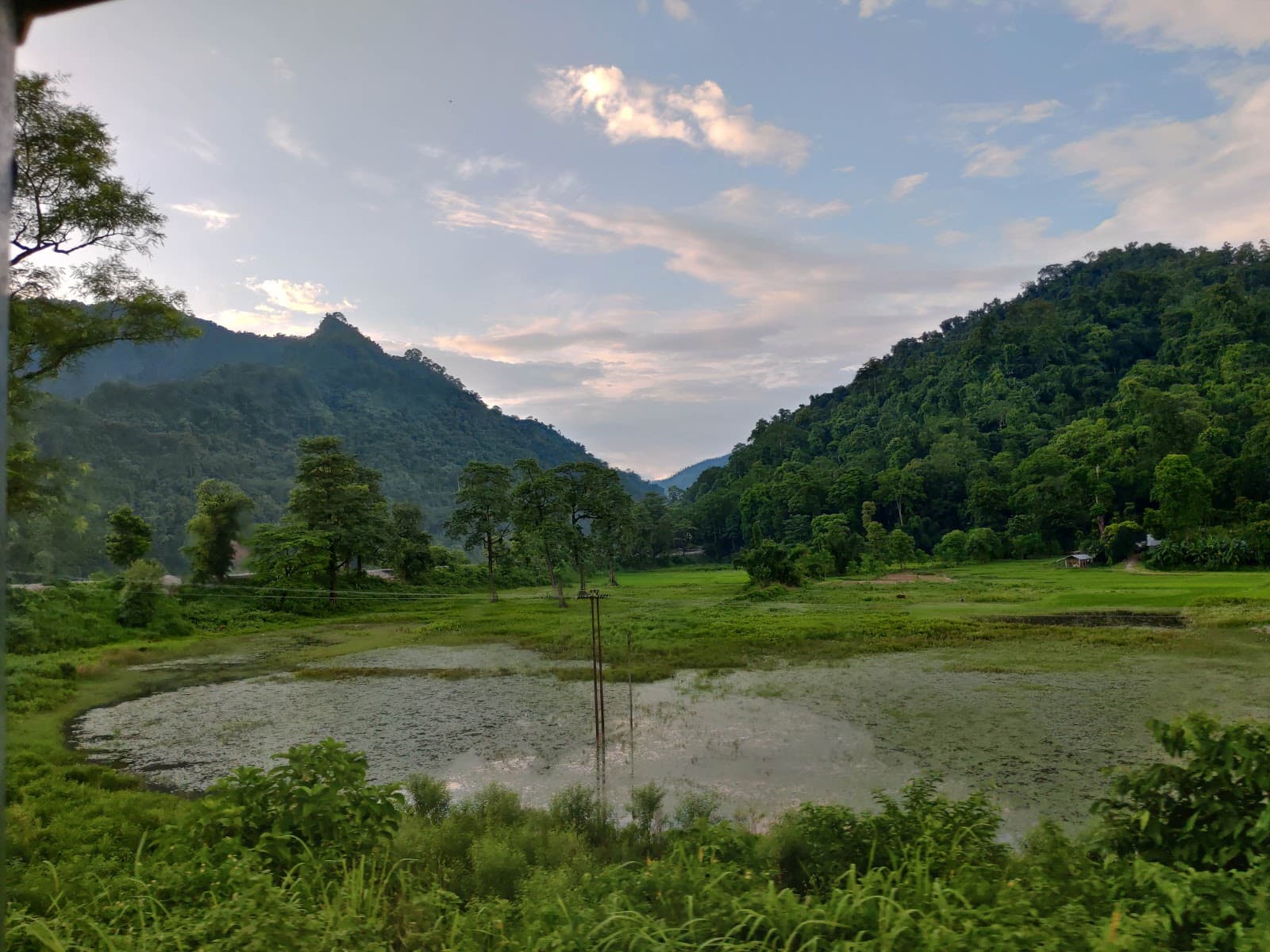 Mongpong Forest & Teesta Viewpoint - Image 1