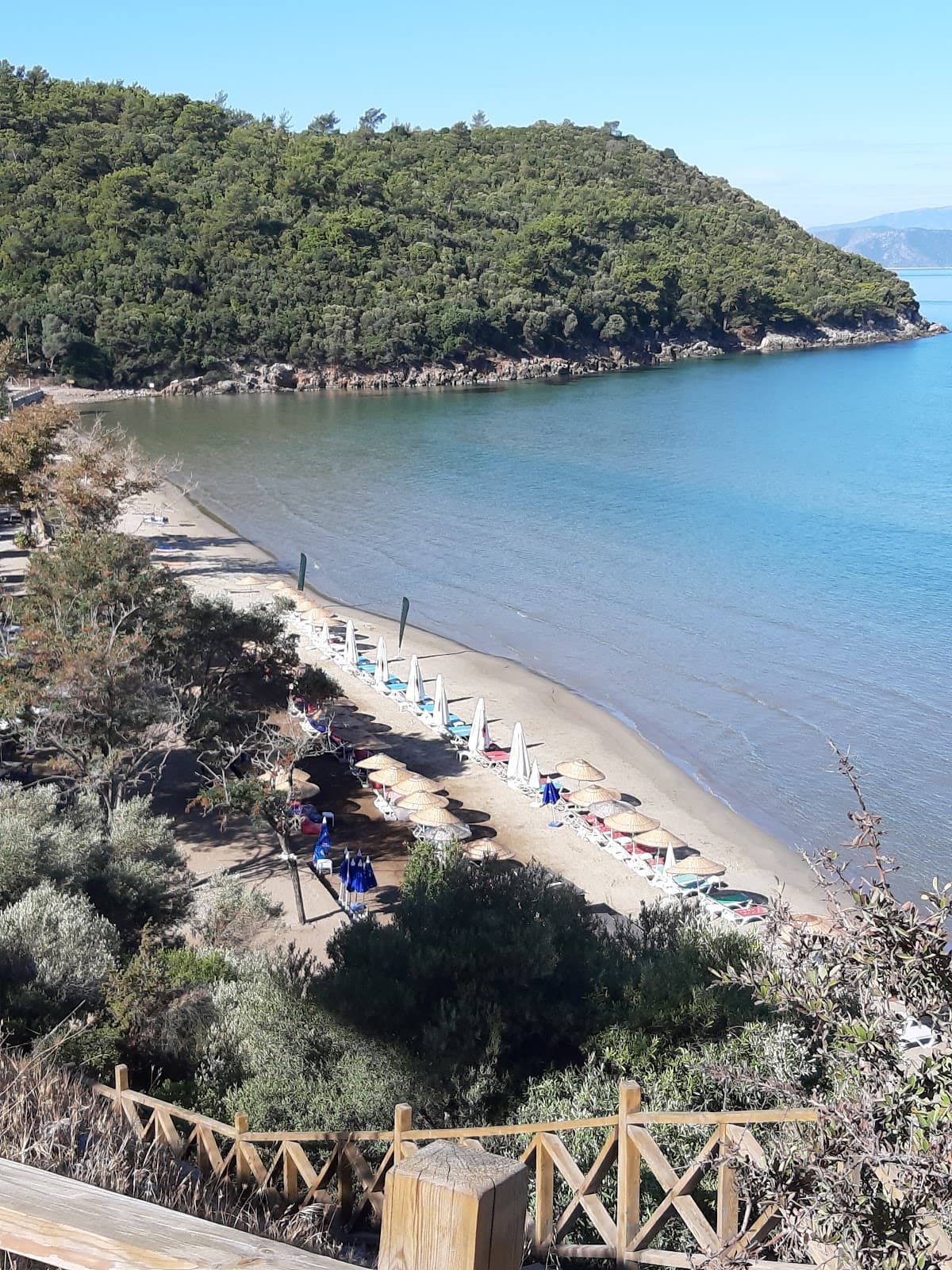 Güzelçamlı Turkey - Image 1