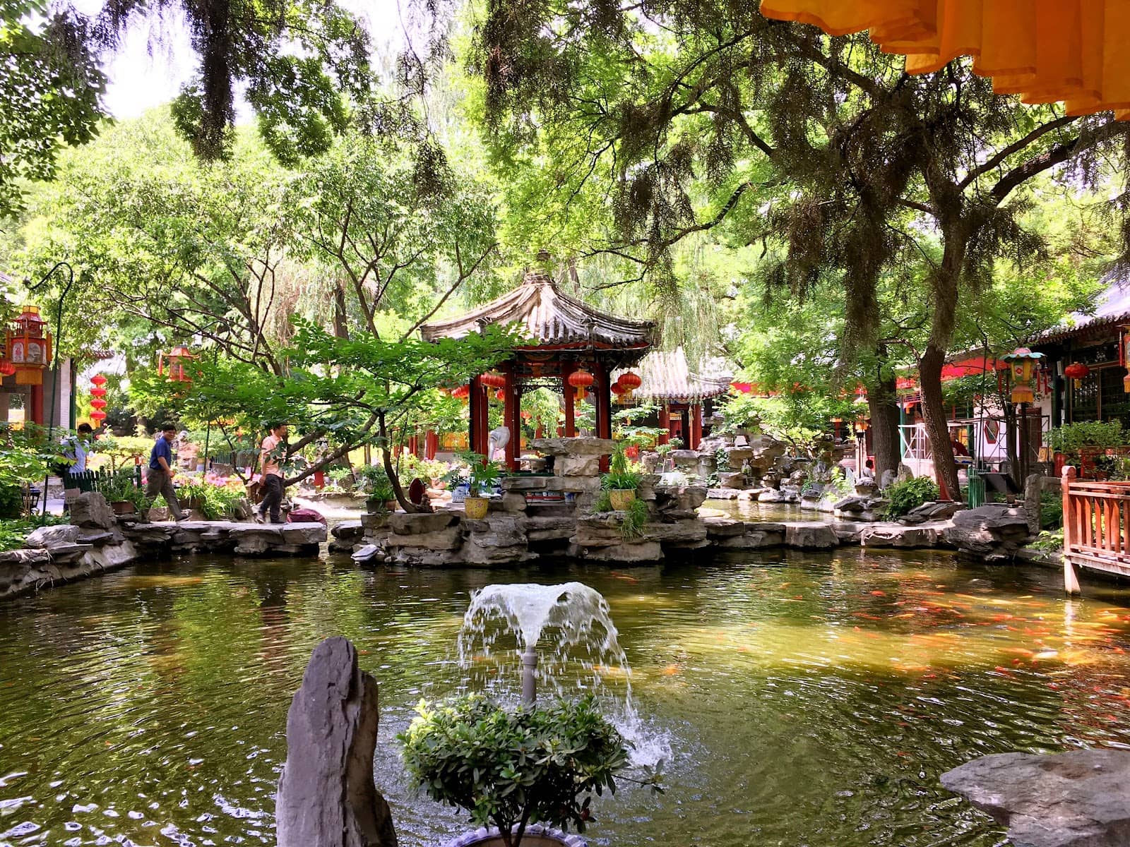 Royal Garden Setting