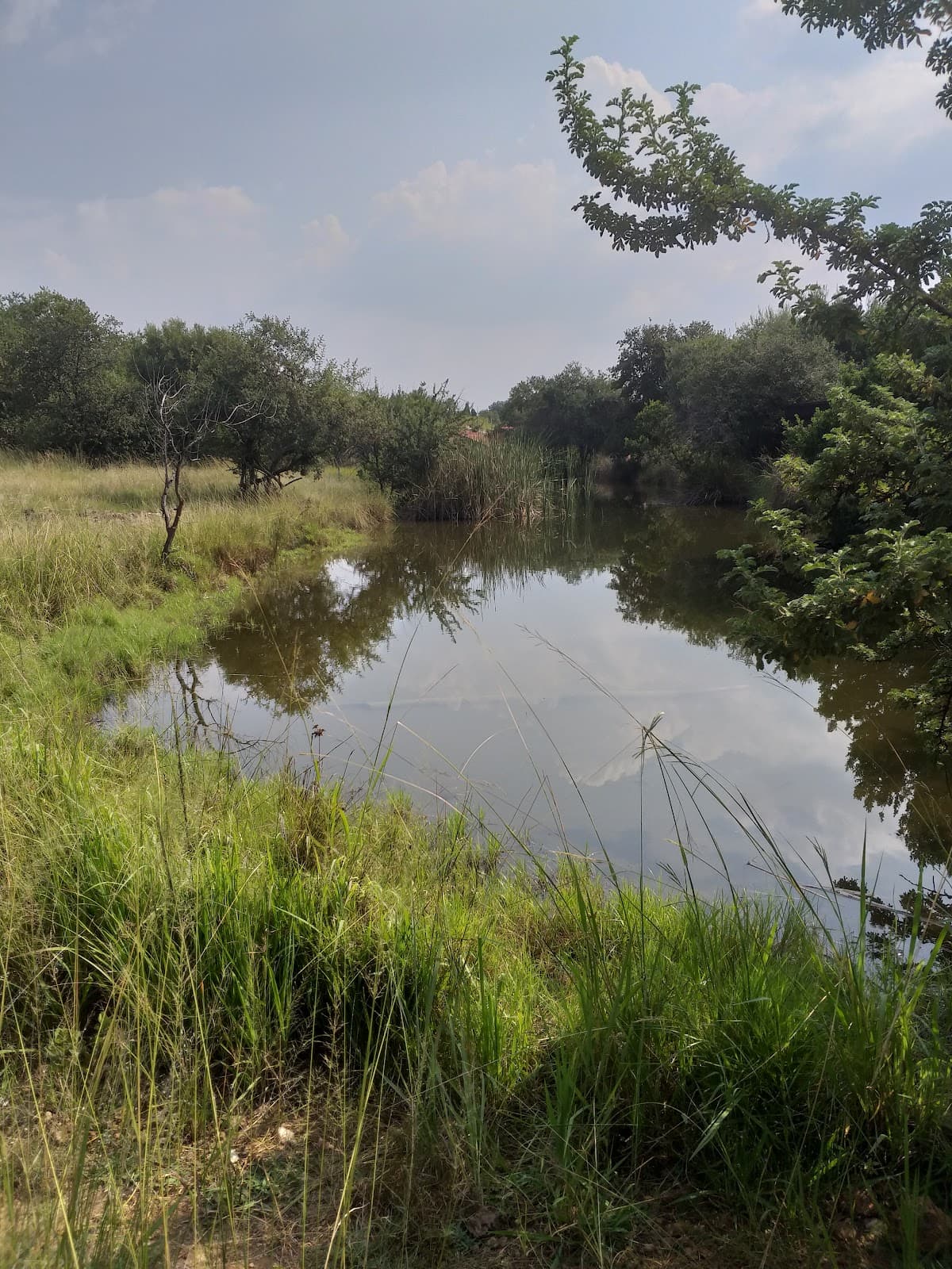 Norscot Koppies and Kingfisher Nature Reserve - Image 1