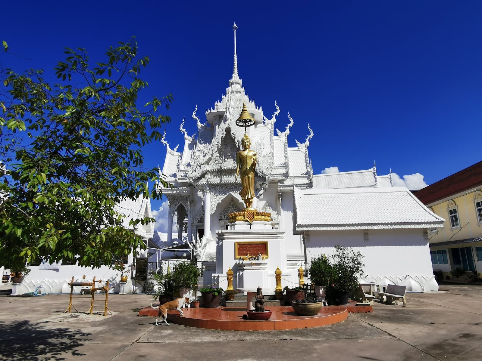 Wat Nong Yai - Image 1