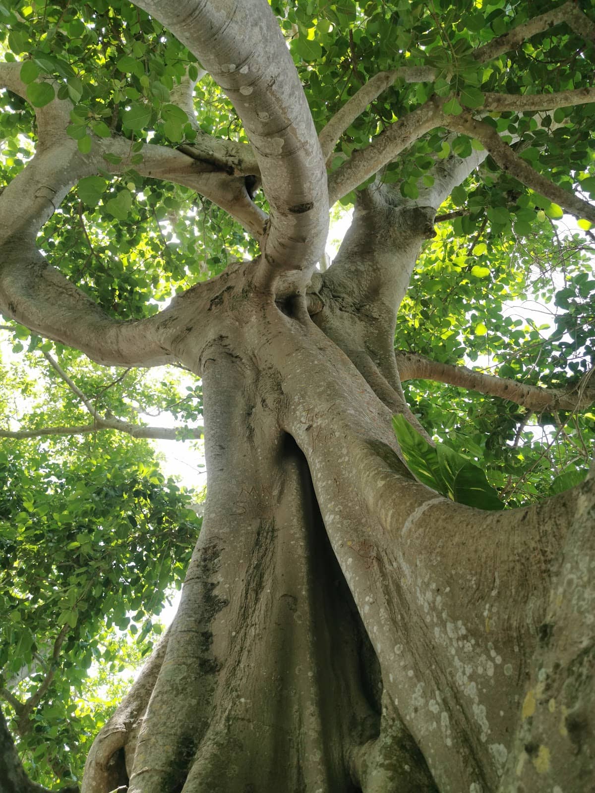 Vertical photo
