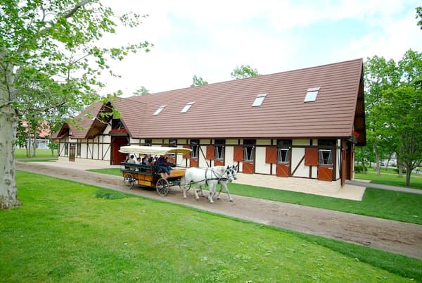 Northern Horse Park - Image 1