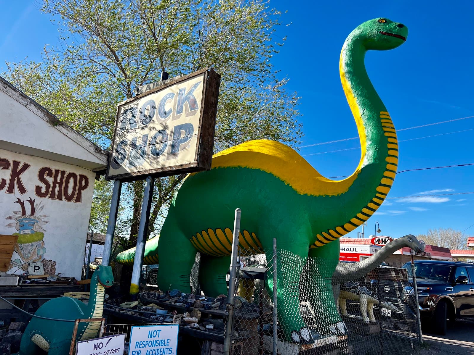 Rainbow Rock Shop - Image 1