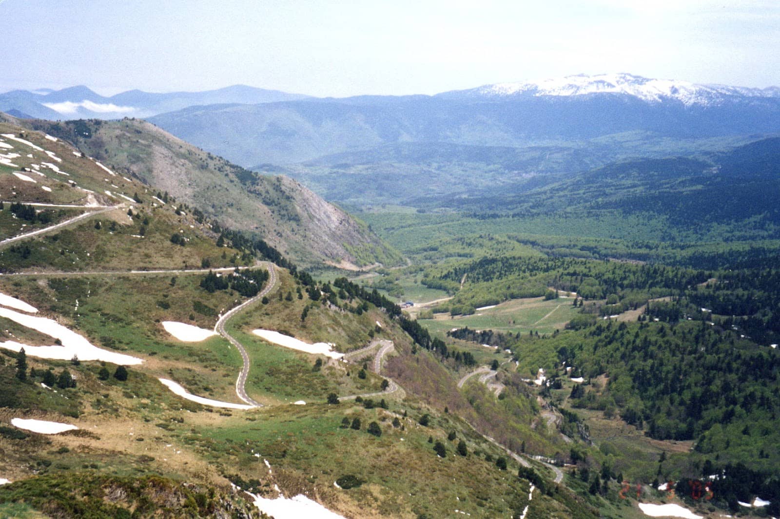 Alpine Flora and Fauna