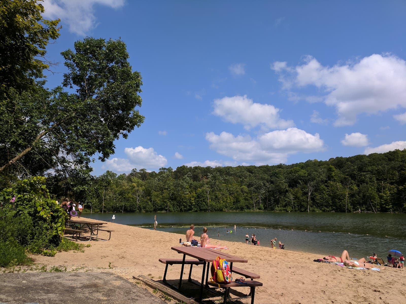 Chester Woods Park - Image 1