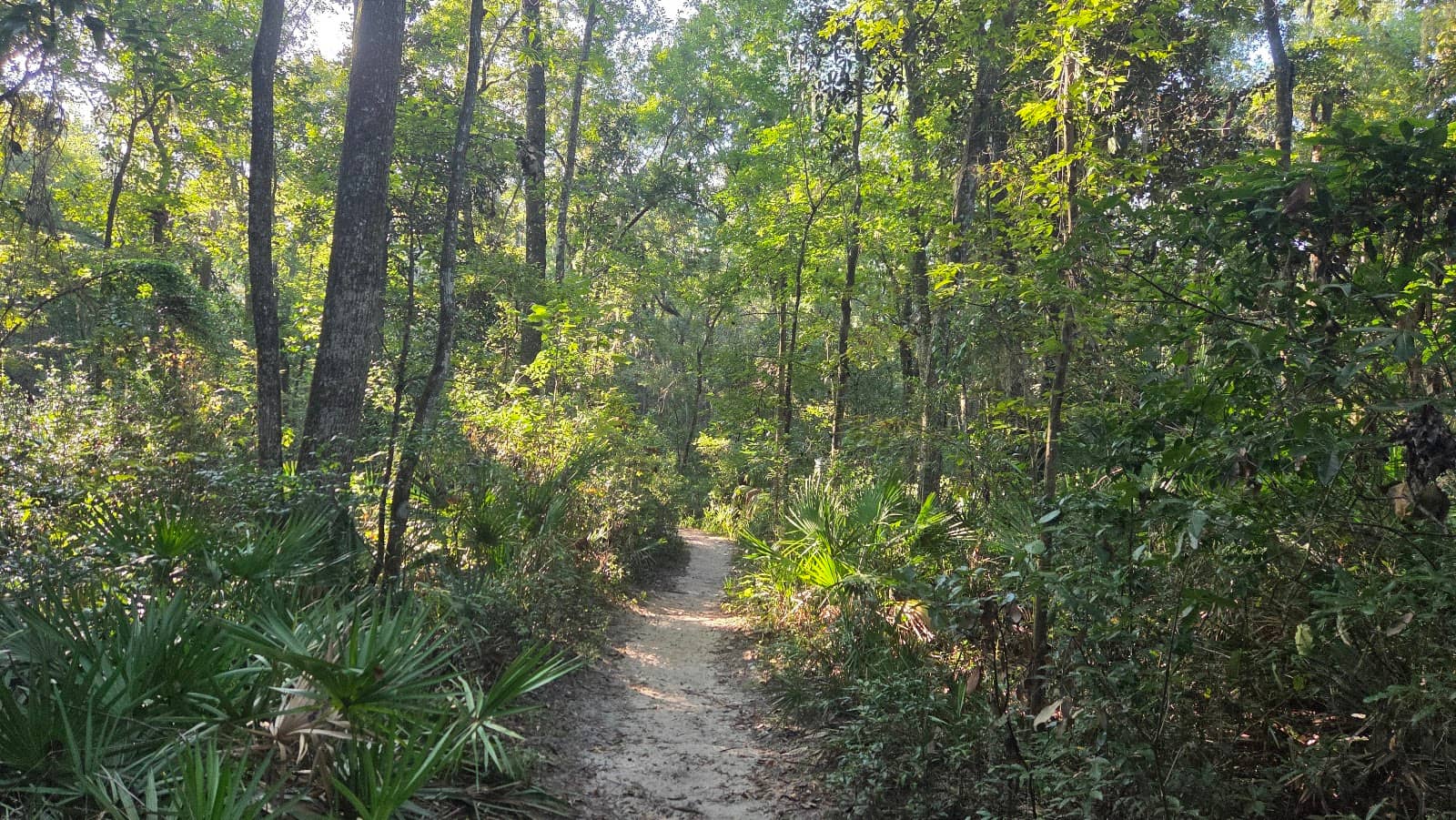 Playground & Picnic Area