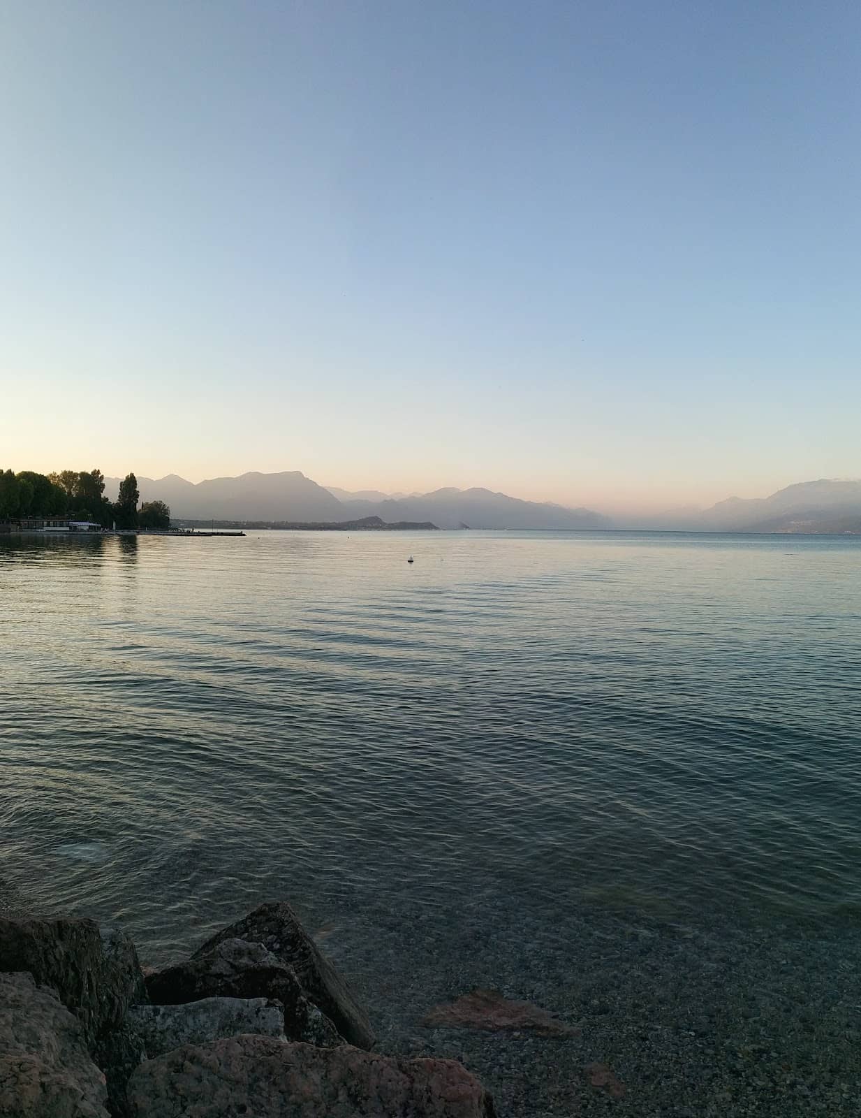 Vibrant Event Atmosphere